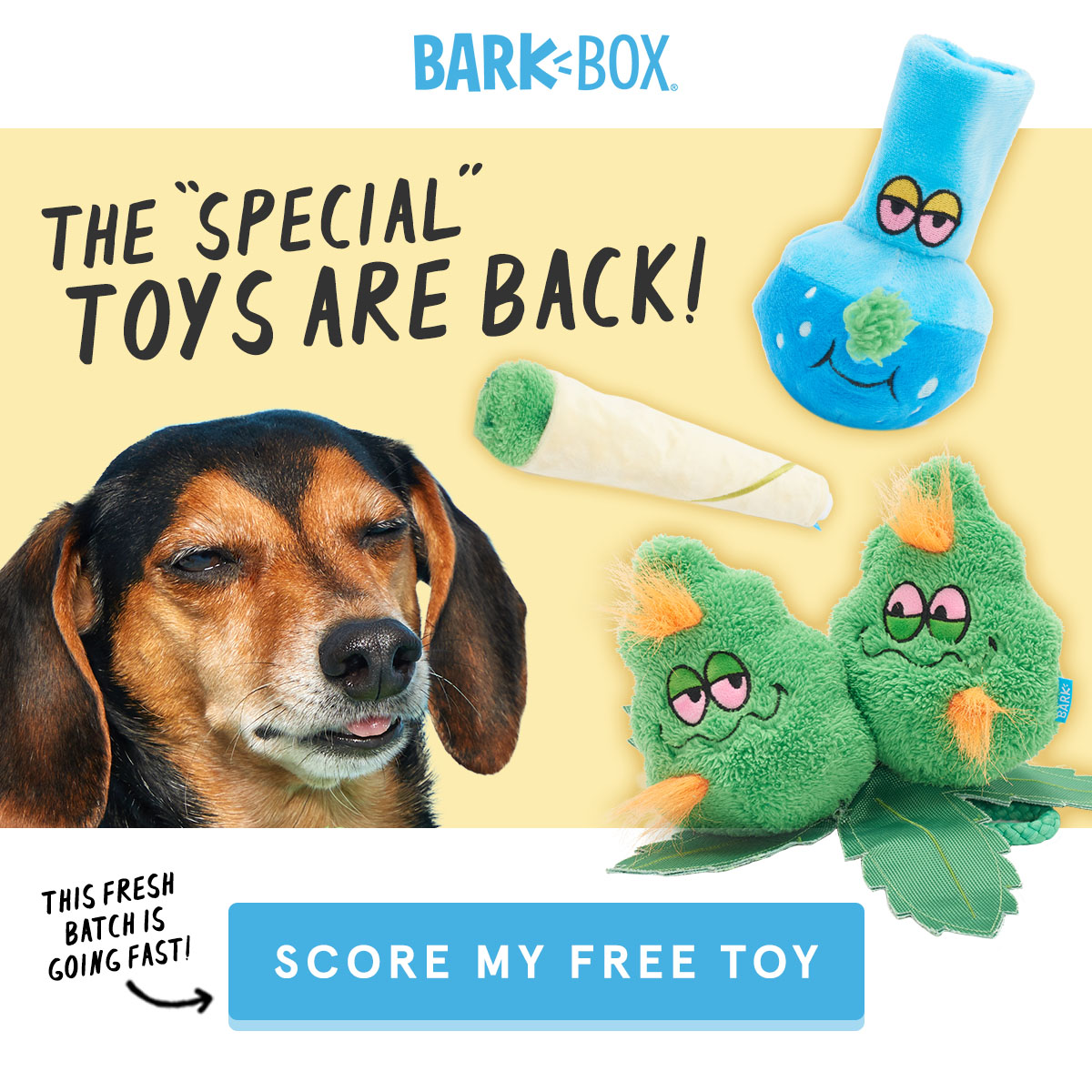 dog toy coupons