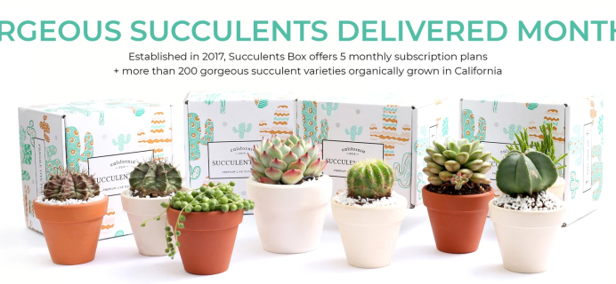 Succulents Box Coupon: Get $5 Off!
