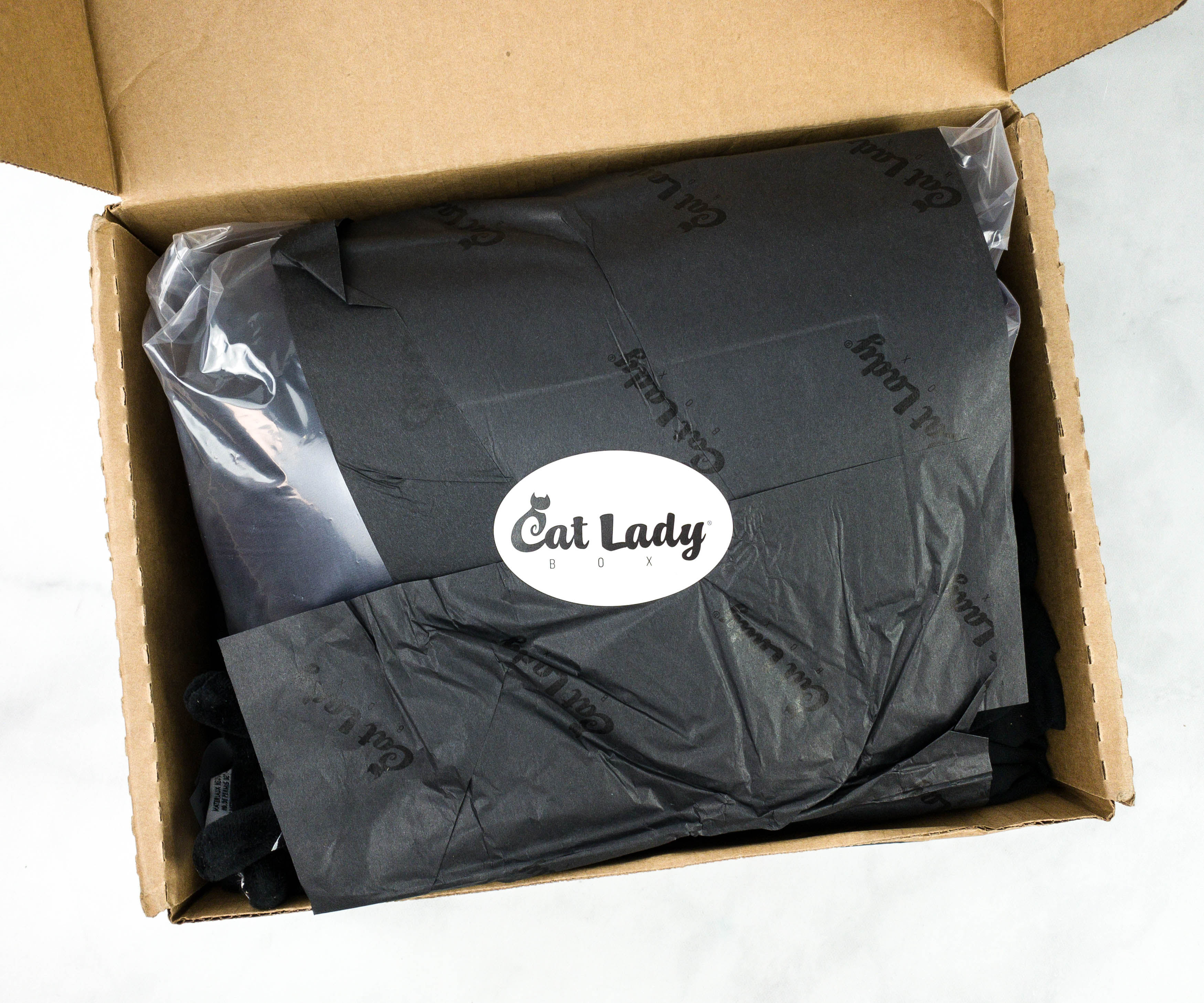 Cat Lady Box October Subscription Box Review Black Cats Hello Subscription