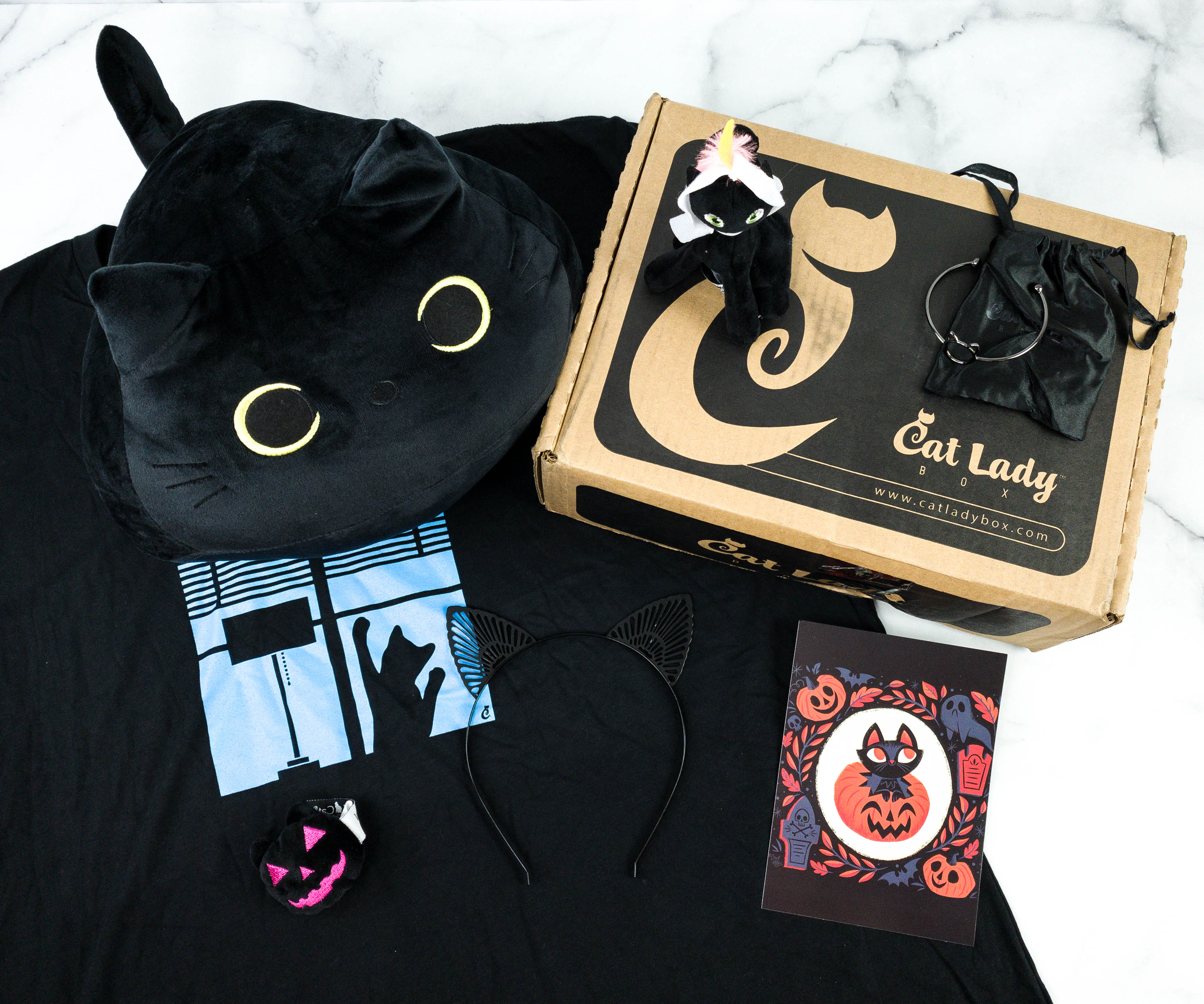 Cat Lady Box October Subscription Box Review Black Cats Hello Subscription