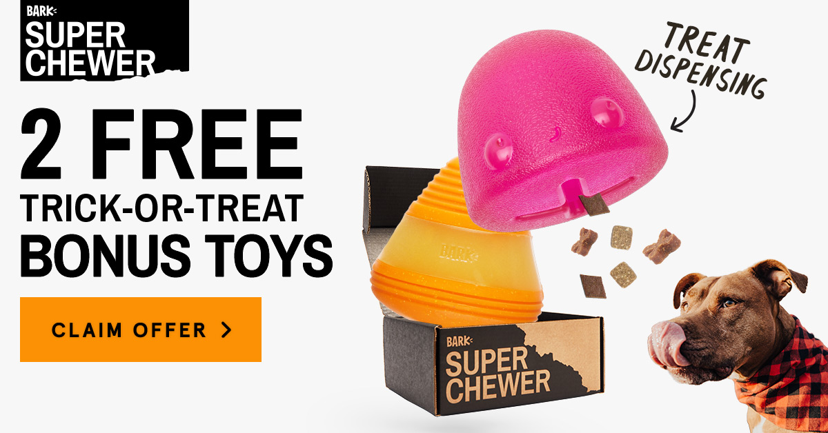 super chewer free extra toy