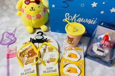 YumeTwins' Studio Ghibli Store Visit - YumeTwins: The Monthly Kawaii  Subscription Box Straight from Tokyo to Your Door!
