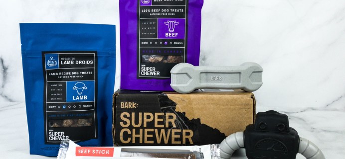 Super Chewer October 2020 Subscription Box Review + Coupon!