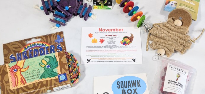 Squawk Box November 2020 Subscription Review