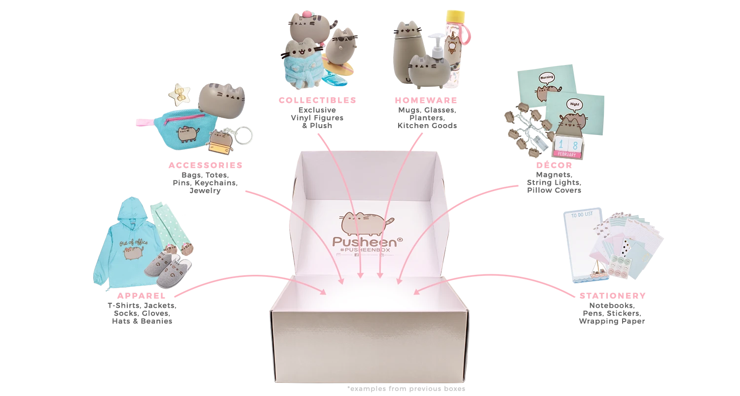 pusheen 2020 winter box