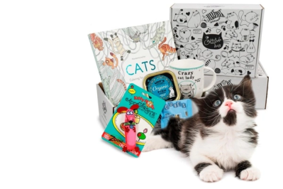 Cattitude Box Black Friday Sale: Save 25% on your entire subscription!