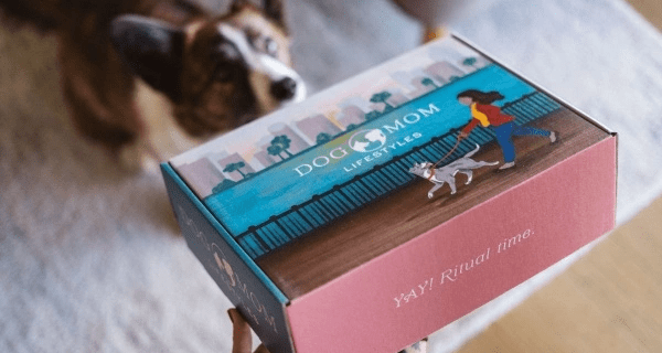 Dog Mom Lifestyles Black Friday Deal: Take 25% off entire subscription purchase!