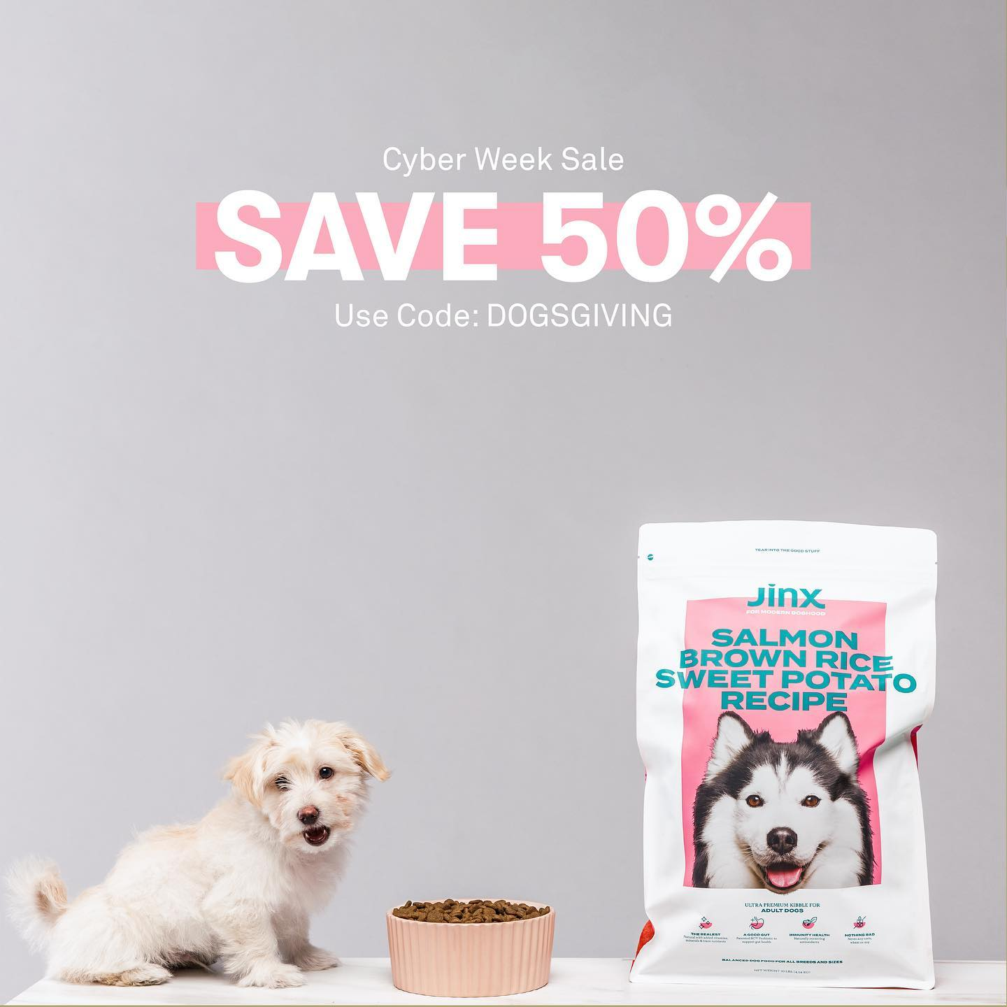 cyber monday dog food deals