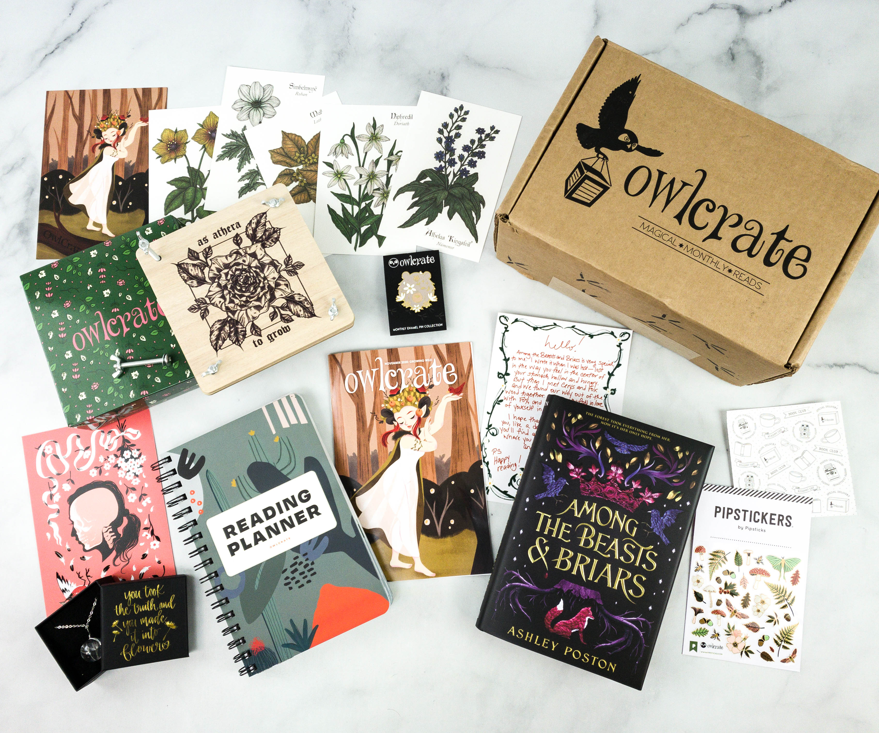 Owl 2024 Crate November Book Box