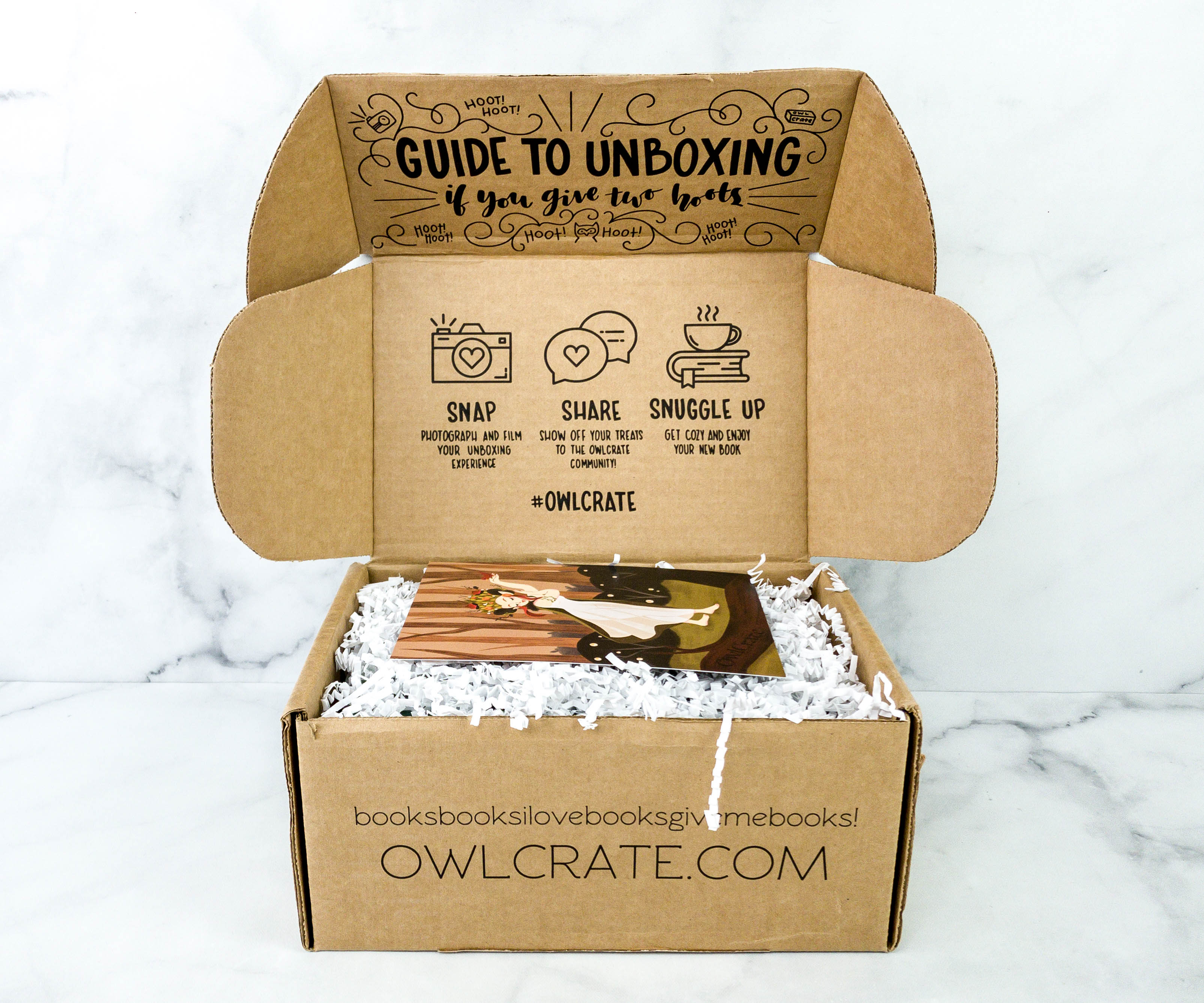 OwlCrate 'THE CHOSEN ONES' Box