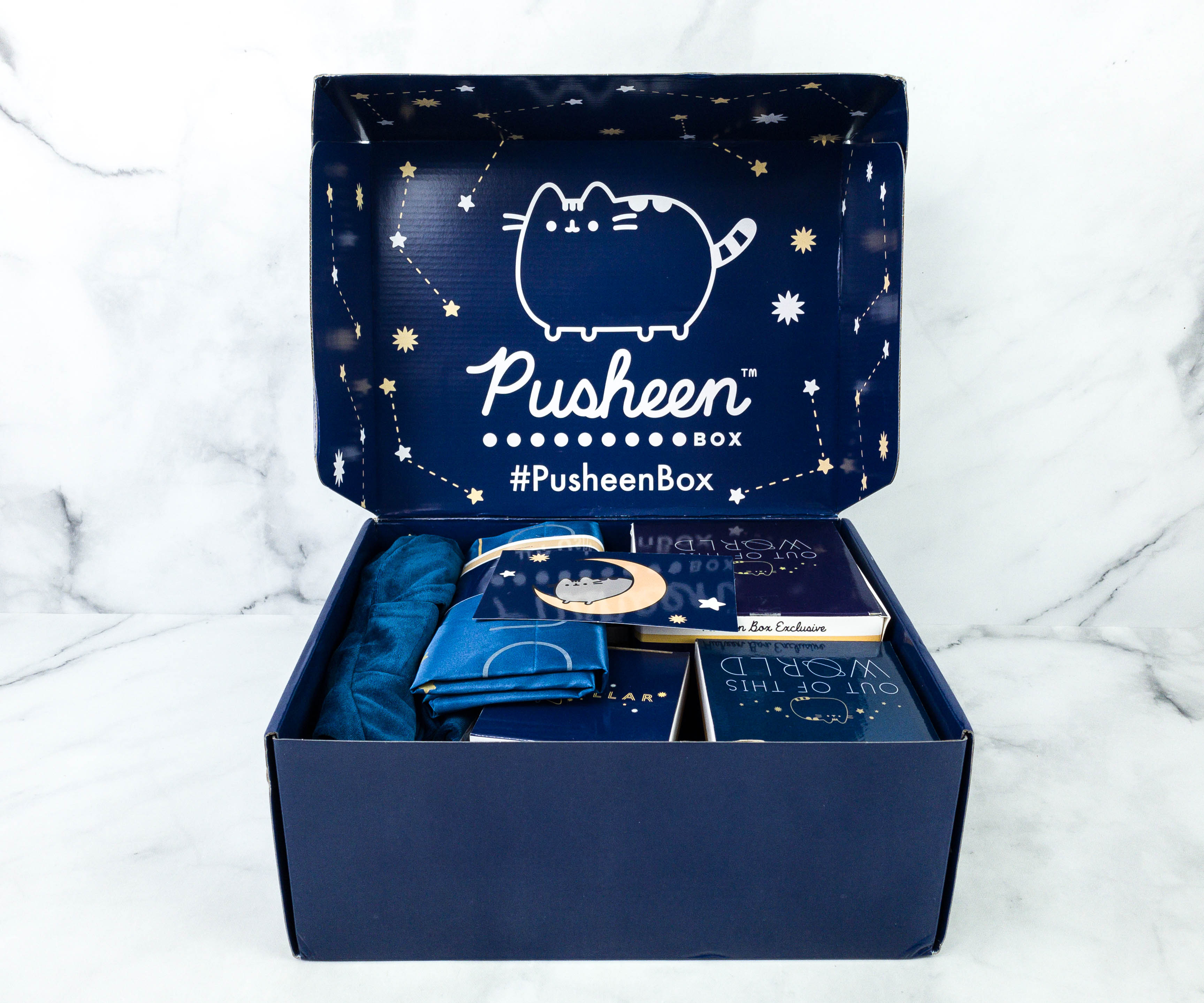 pusheen 2020 winter box