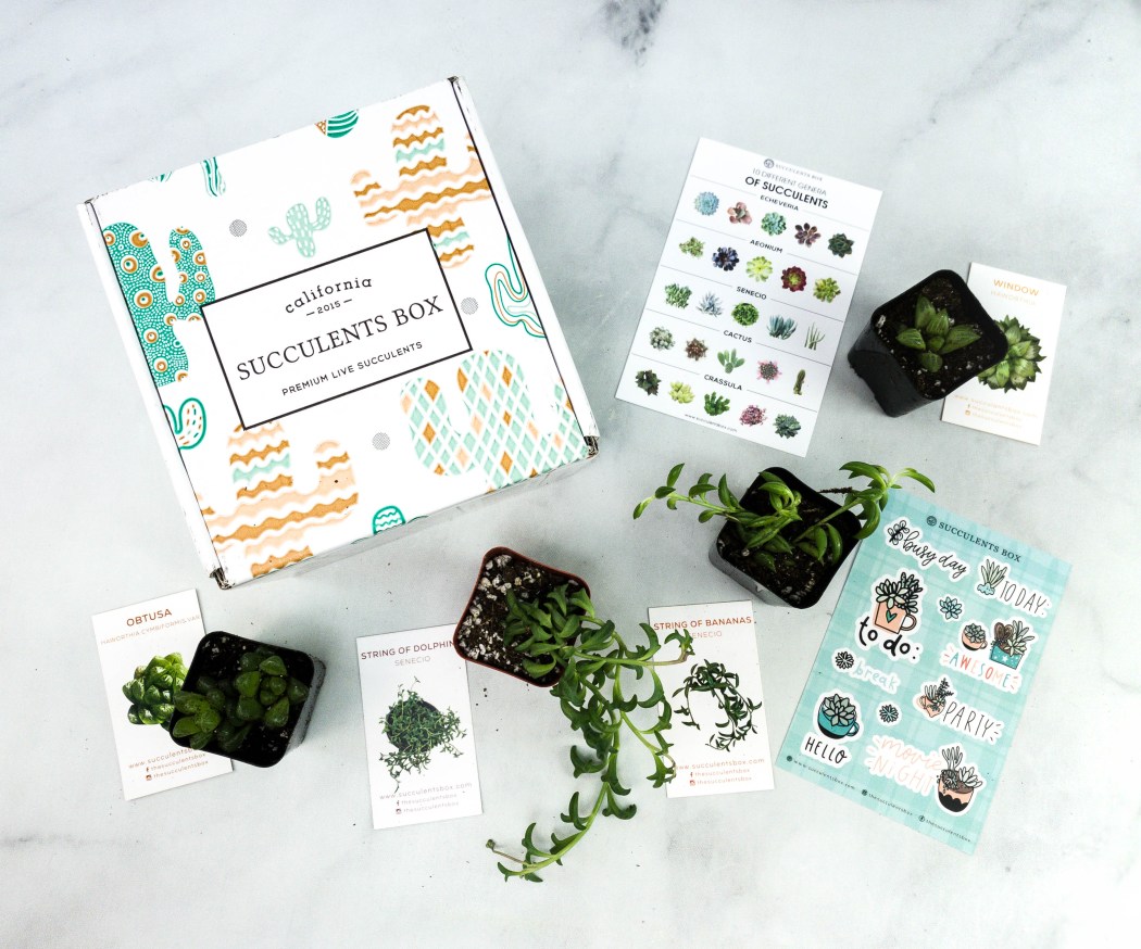 9 Best Gardening Subscription Boxes 2023