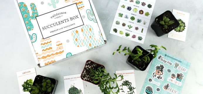 Succulents Box November 2020 Subscription Box Review + Coupon