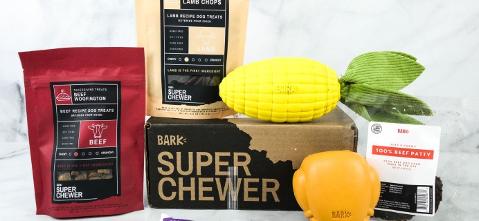 Super Chewer November 2020 Subscription Box Review + Coupon!