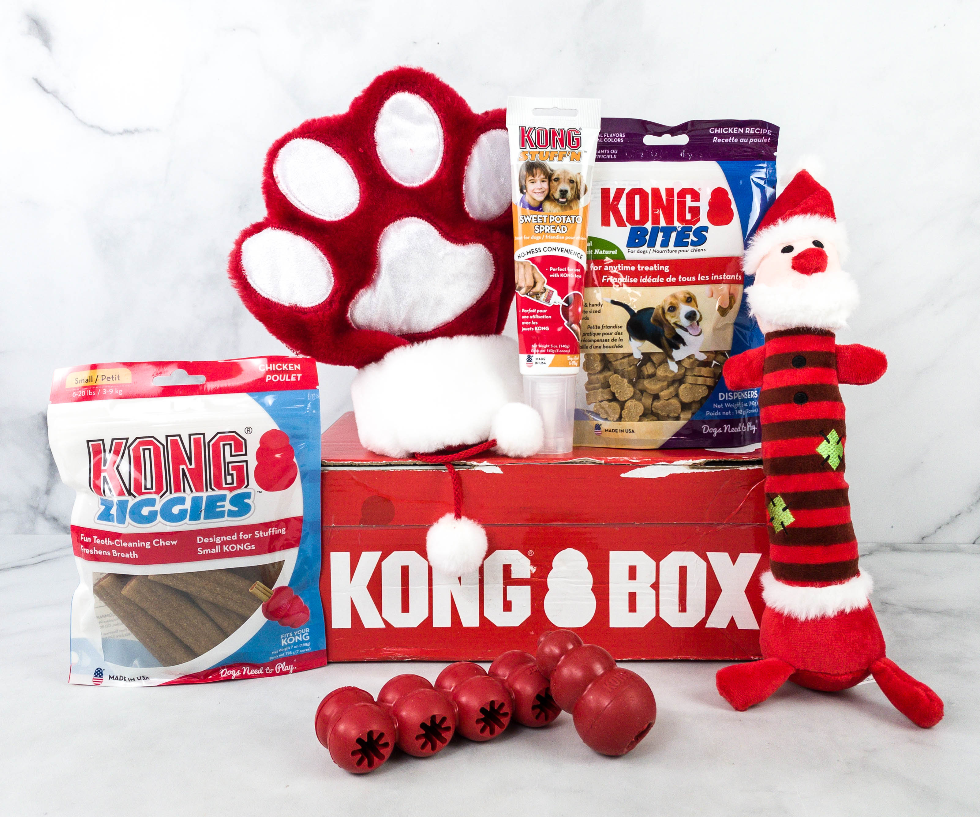 Kong box outlet for dogs