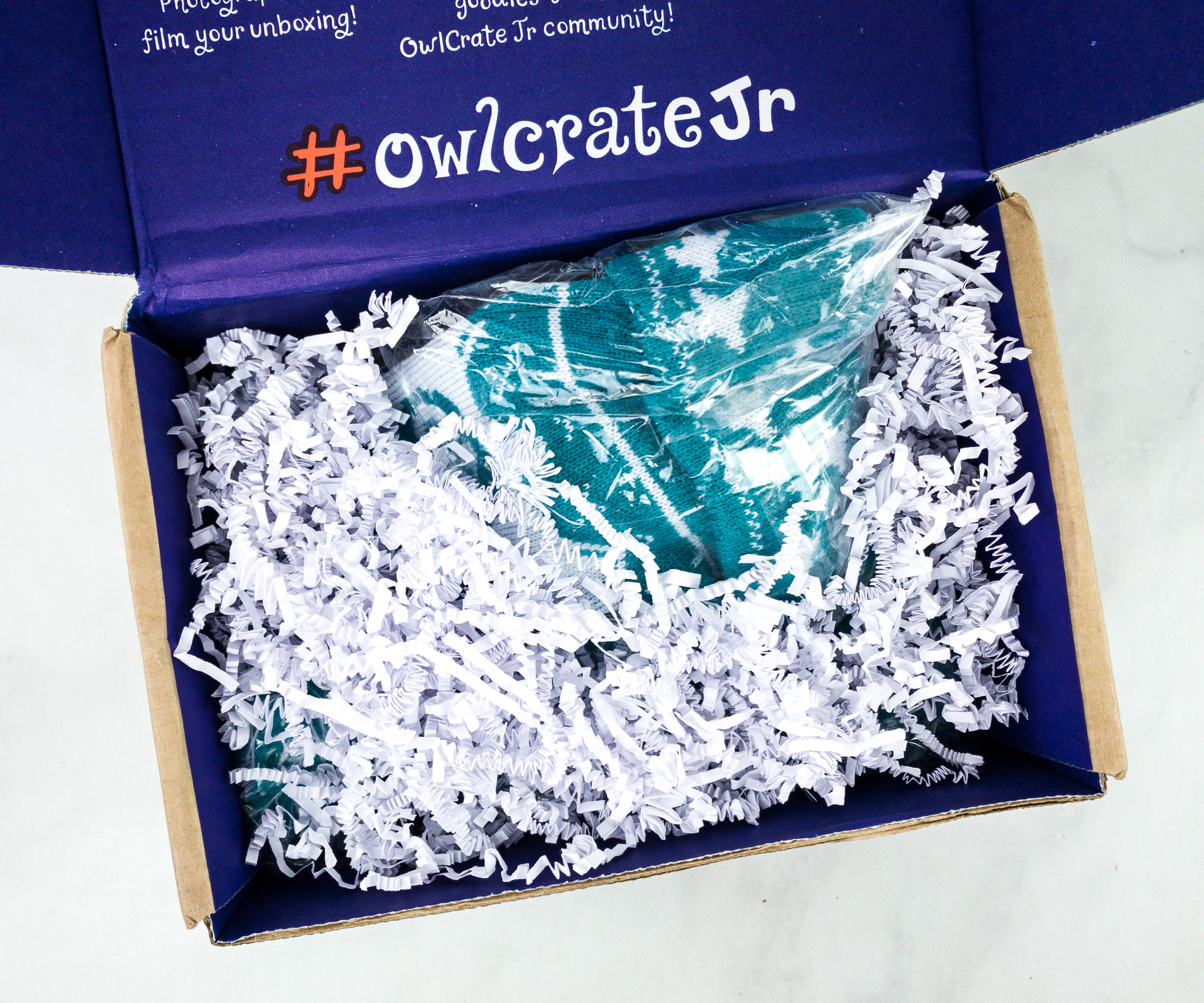 OwlCrate Jr. December 2020 Box Review & Coupon WINGED BEASTS! Hello