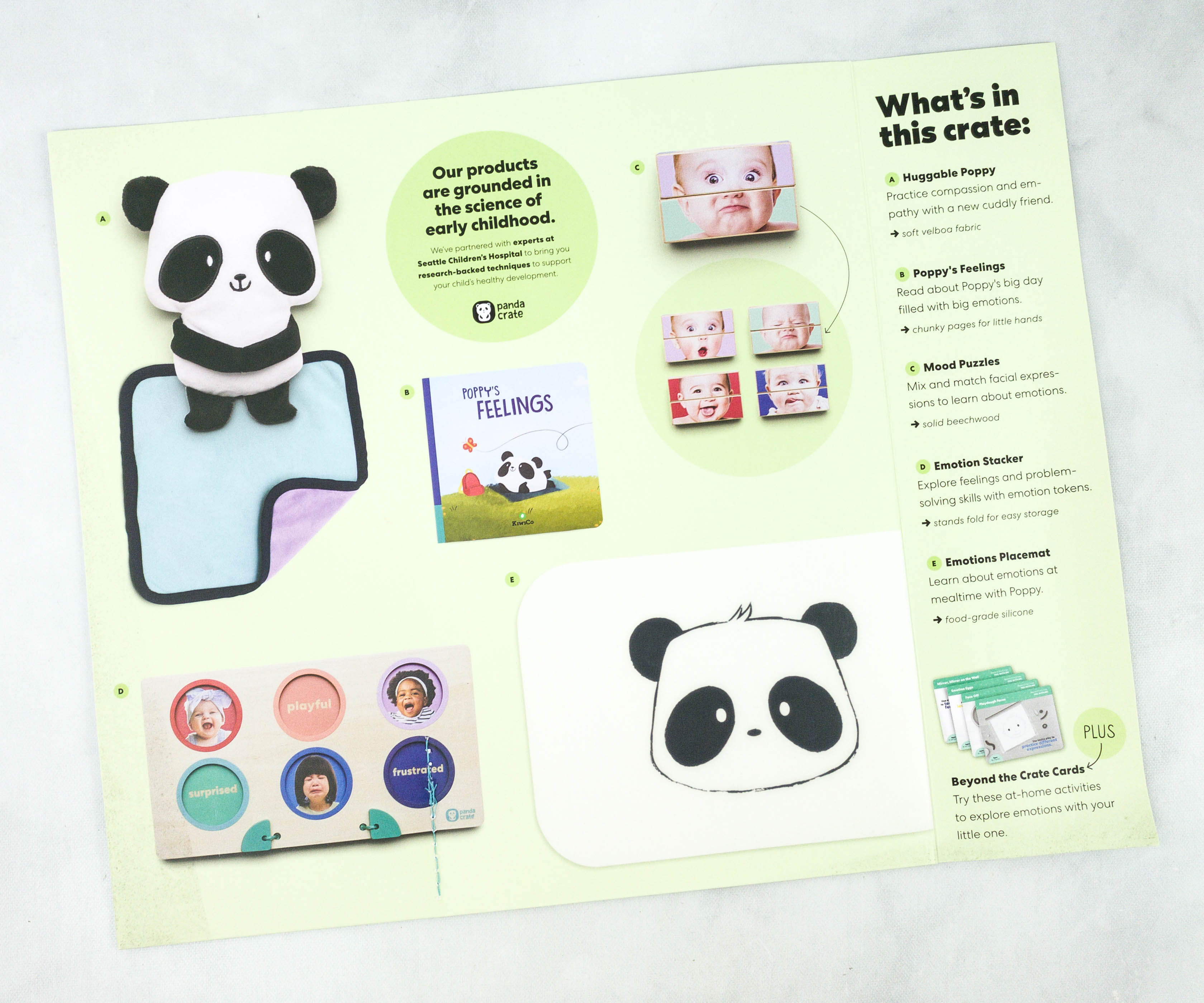 Kiwico Panda Crate Review And Coupon Feel With Me Hello Subscription 9683
