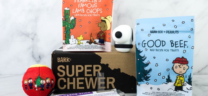 Super Chewer December 2020 Subscription Box Review + Coupon!