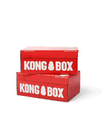 KONG Box Deal: FREE KONG Macaron With First Box!