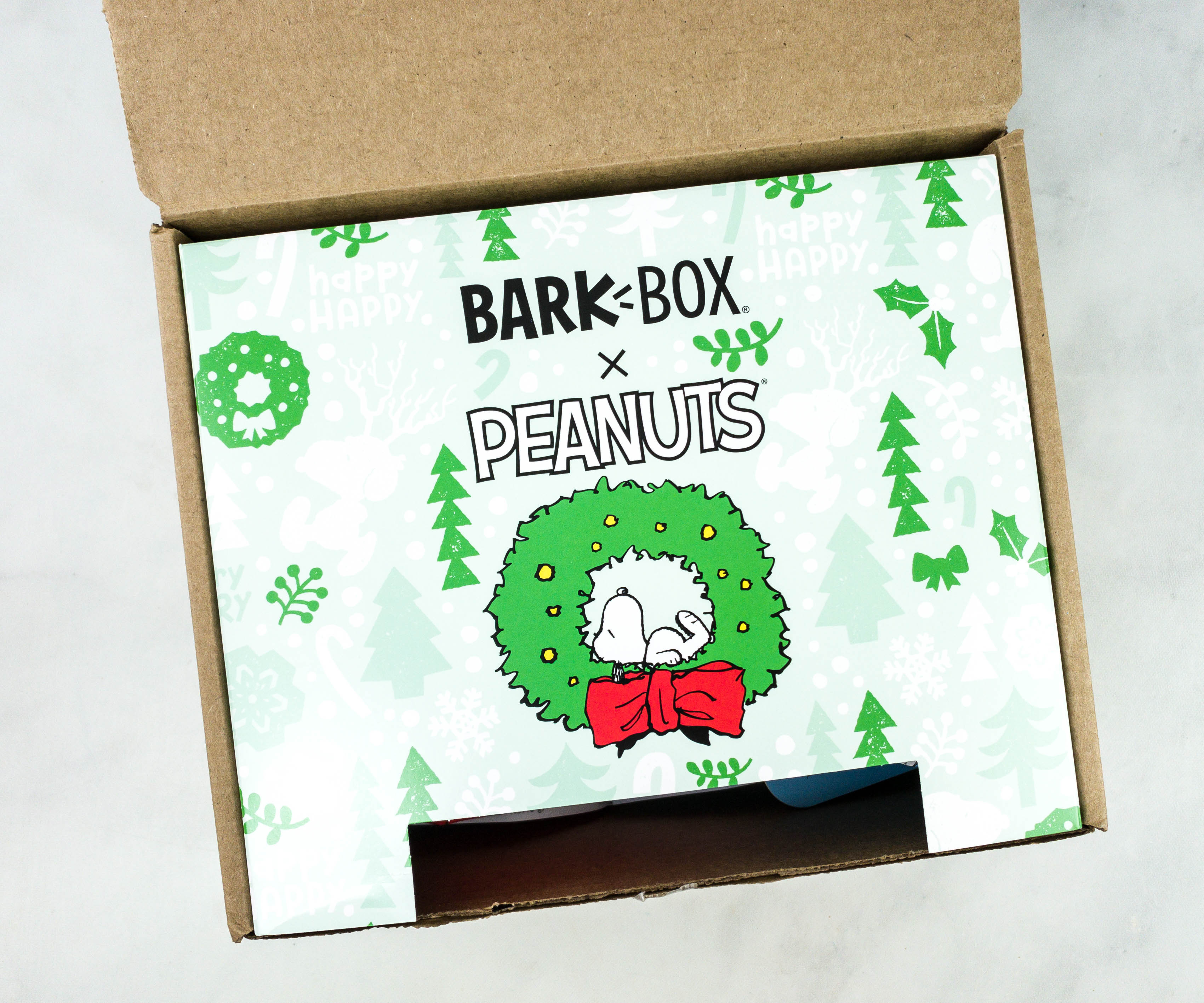 Barkbox Review + Coupon December 2020 Hello Subscription