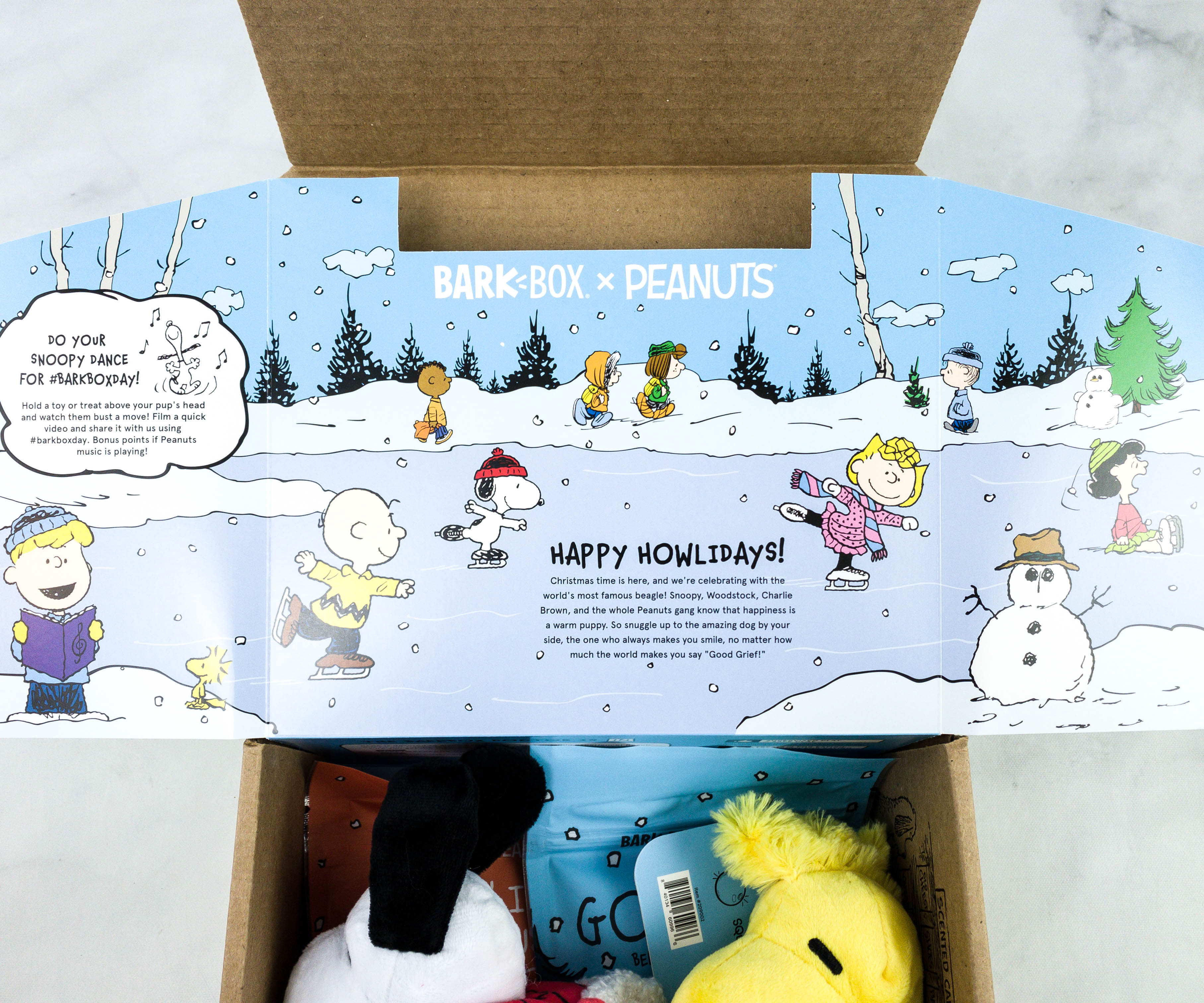 Barkbox Review + Coupon December 2020 Hello Subscription