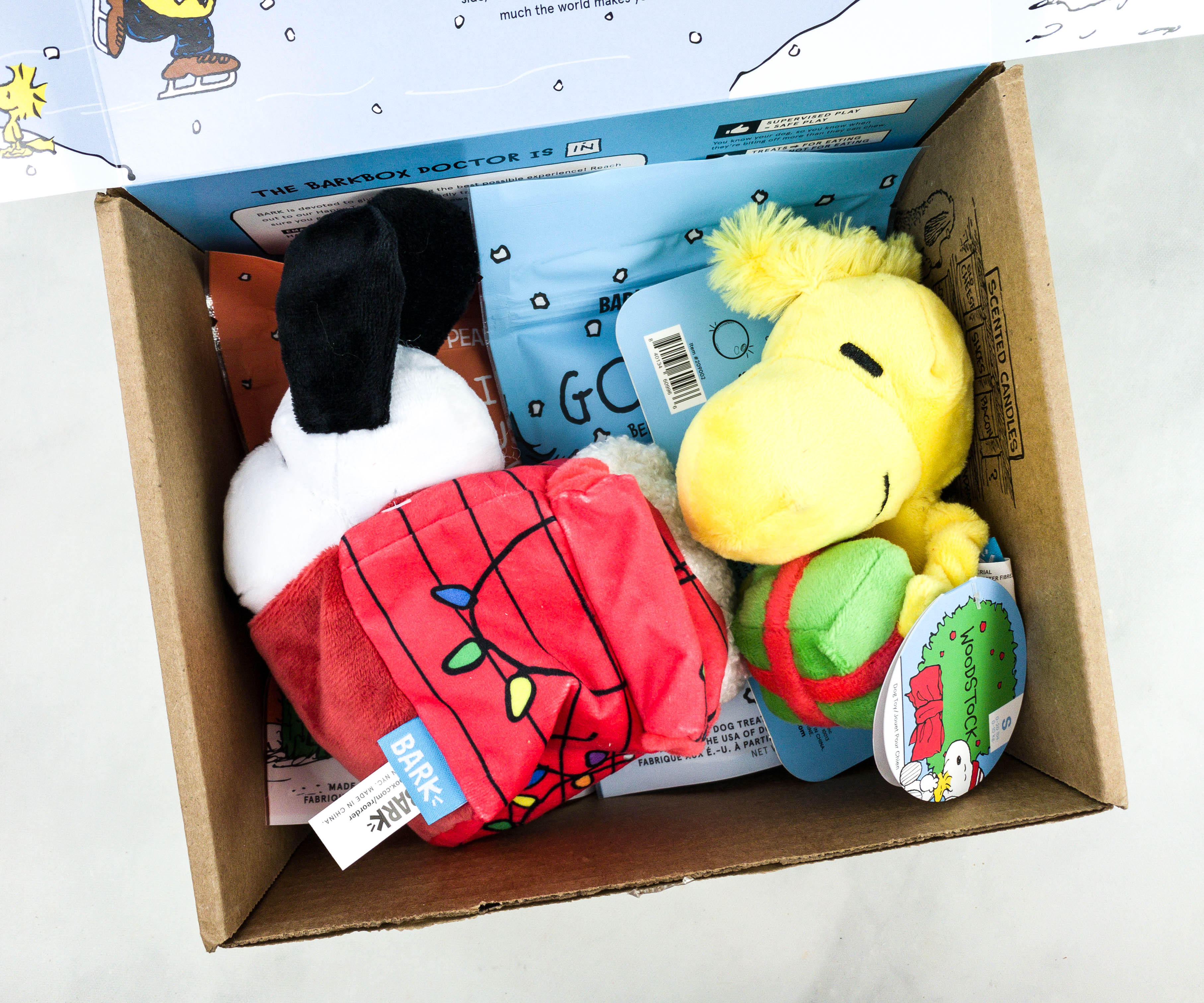Barkbox Review + Coupon - December 2020 - Hello Subscription