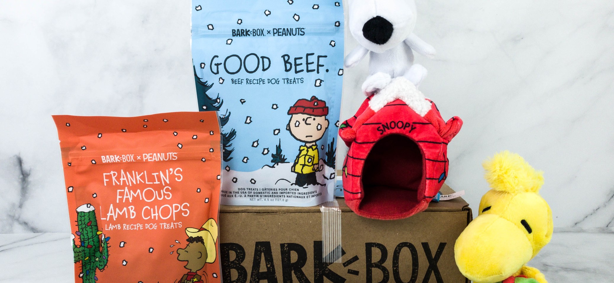 snoopy barkbox