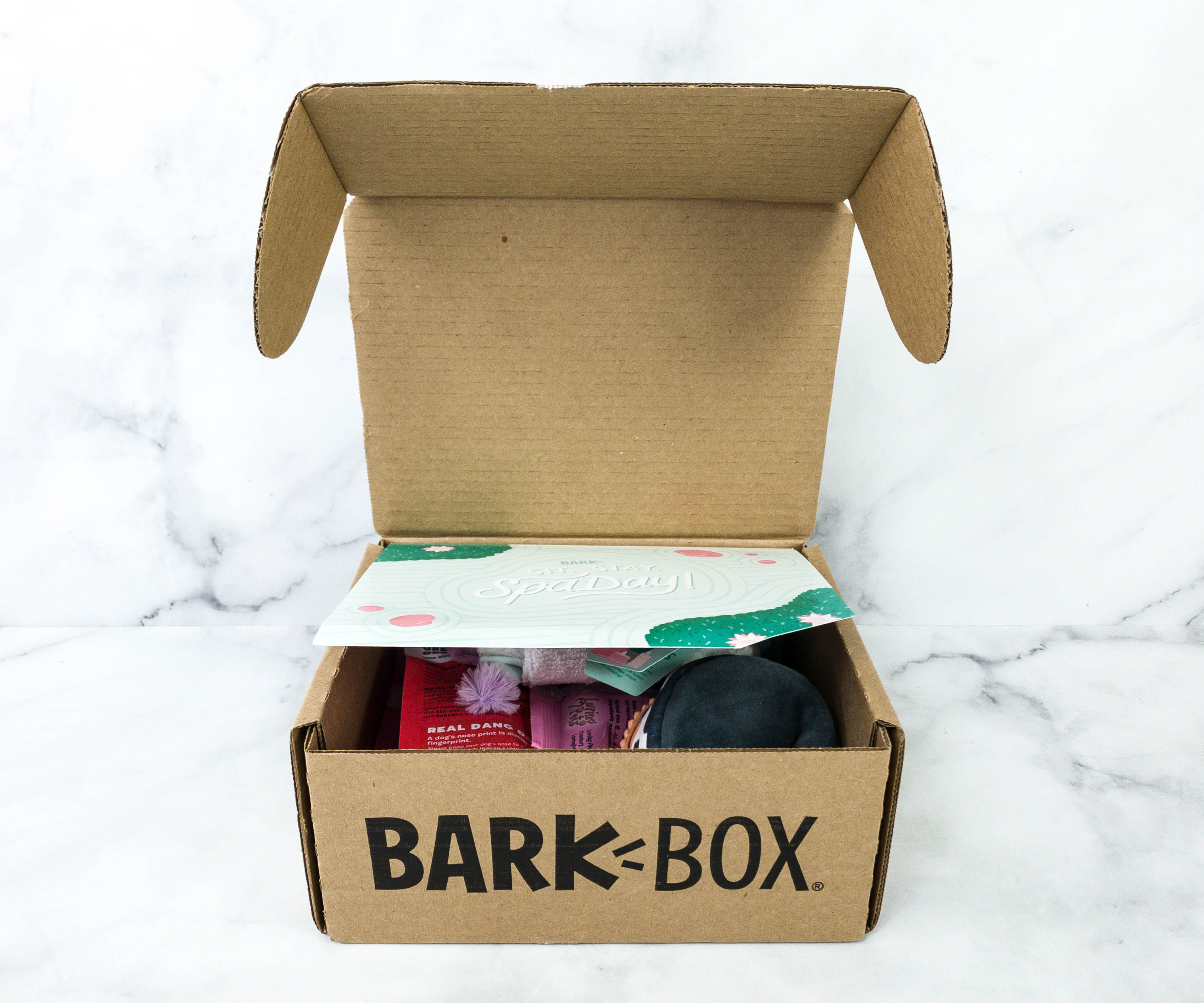 Barkbox 12 best sale month subscription