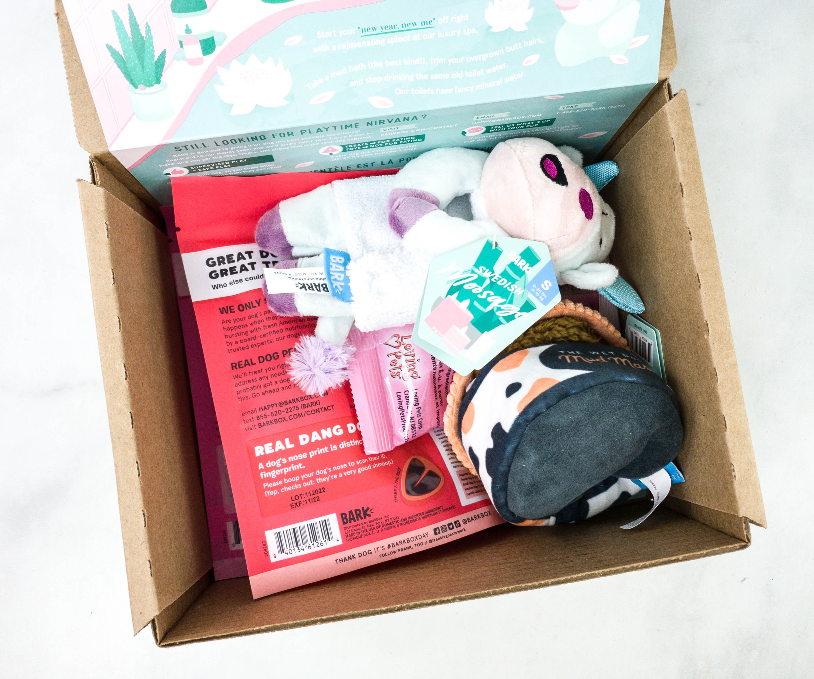 Barkbox Review + Coupon January 2021 Hello Subscription