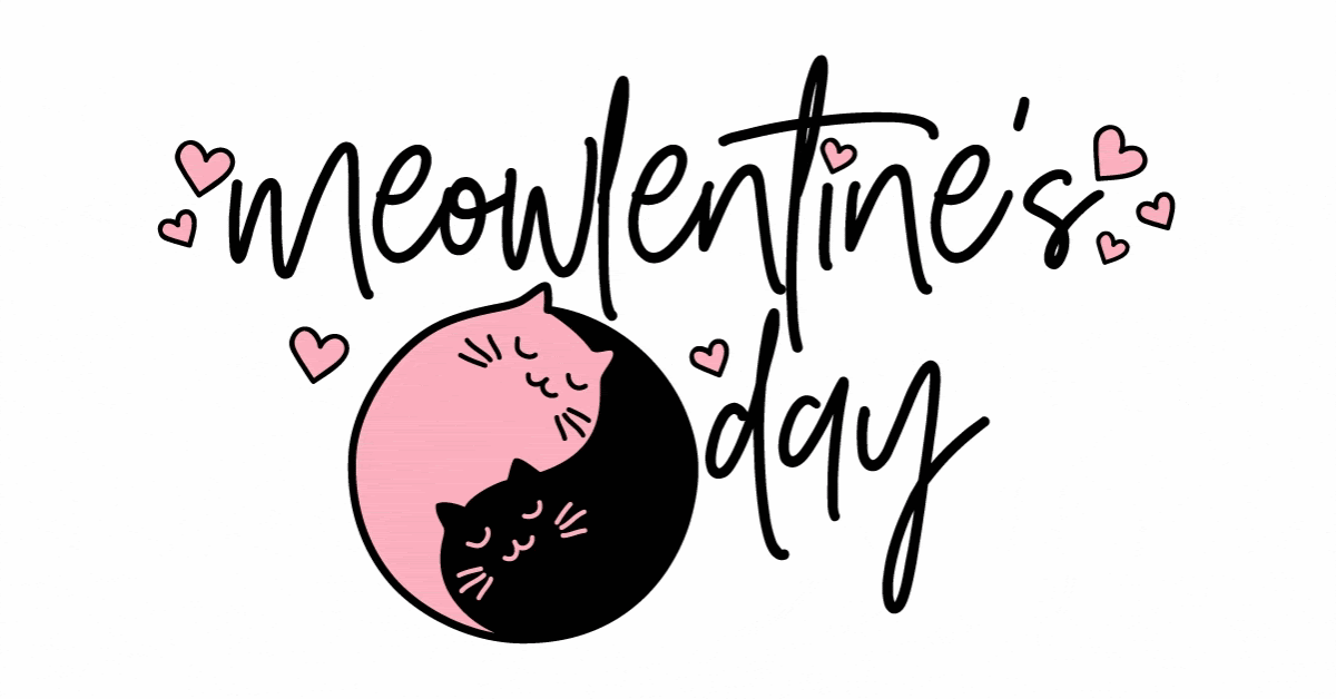 Cat Lady Box February Spoiler 1 Coupon Hello Subscription Cat Lady Box February Spoiler 1 Coupon Hello Subscription