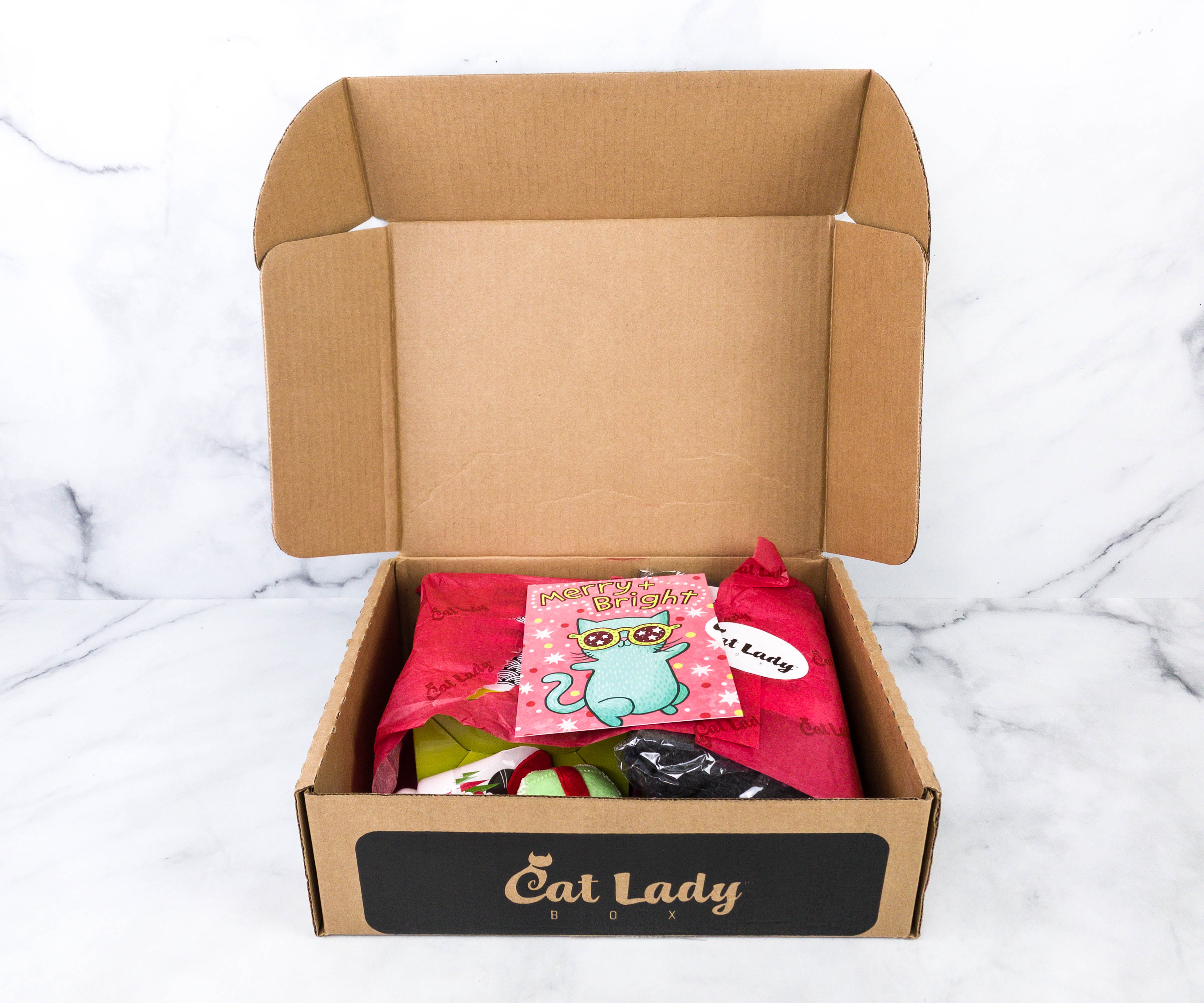 Cat Lady Box December Subscription Box Review Meowy Holidays Hello Subscription