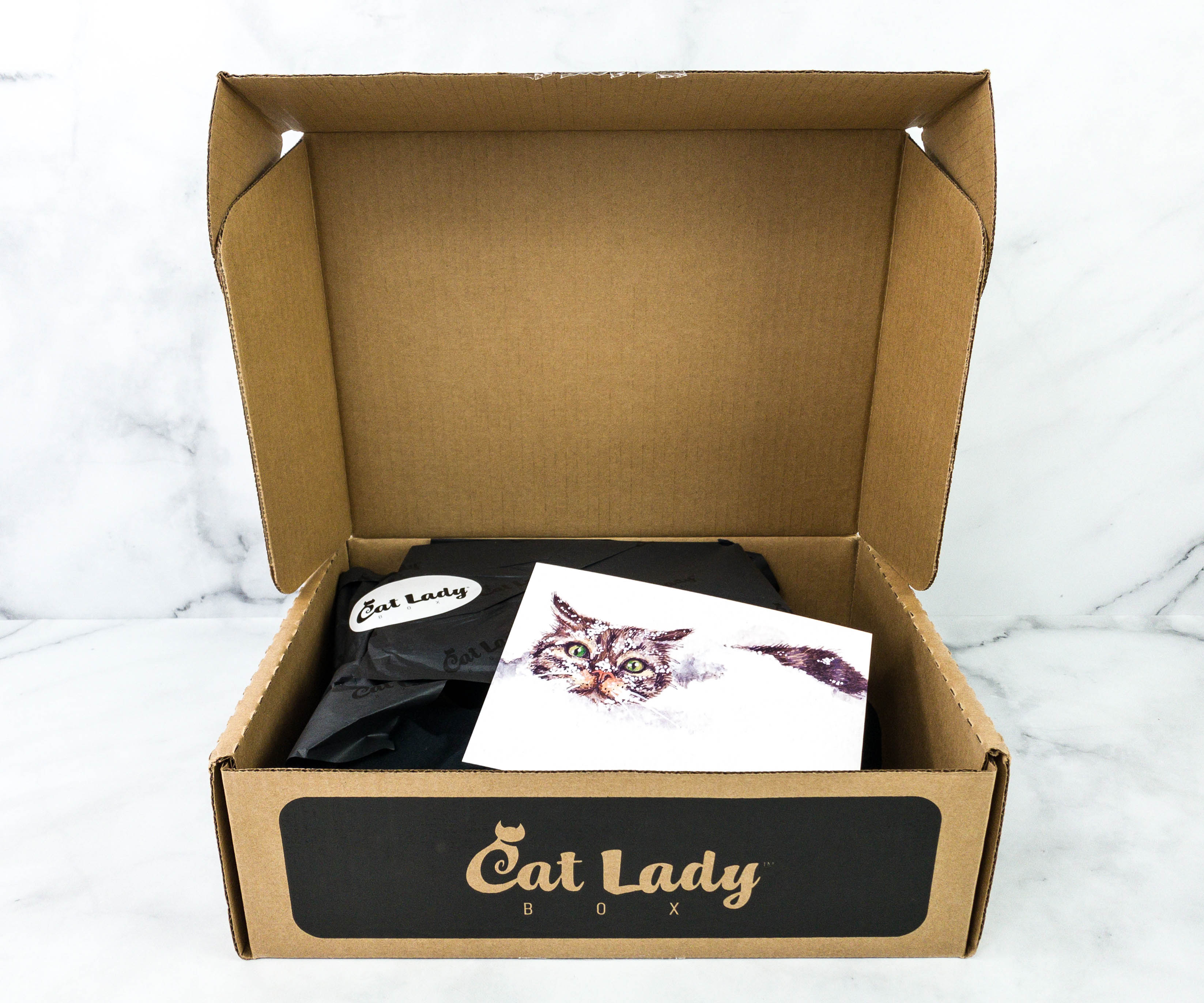 Cat Lady Box January 21 Subscription Box Review Mew Year 21 Hello Subscription