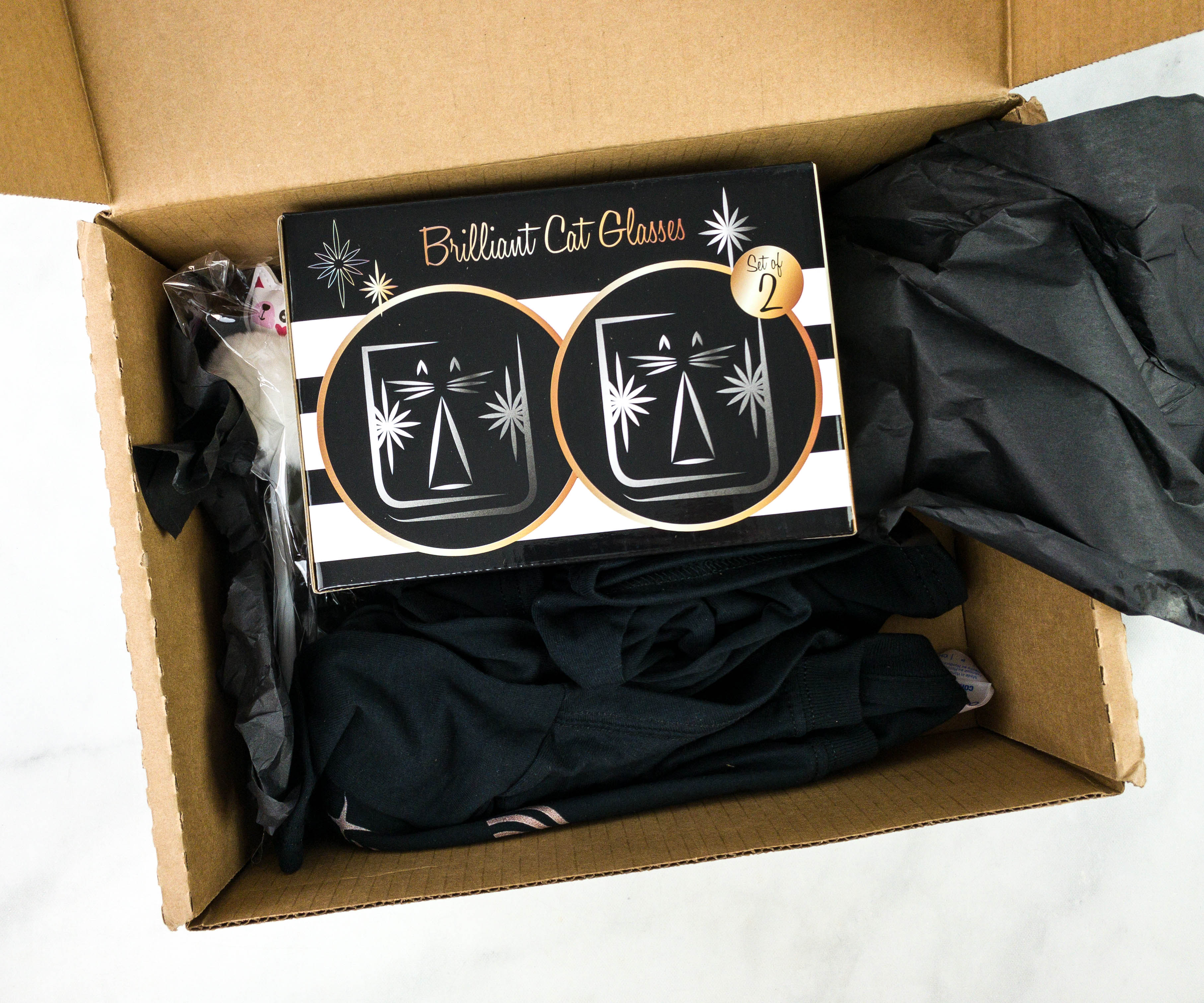 Cat Lady Box January 21 Subscription Box Review Mew Year 21 Hello Subscription