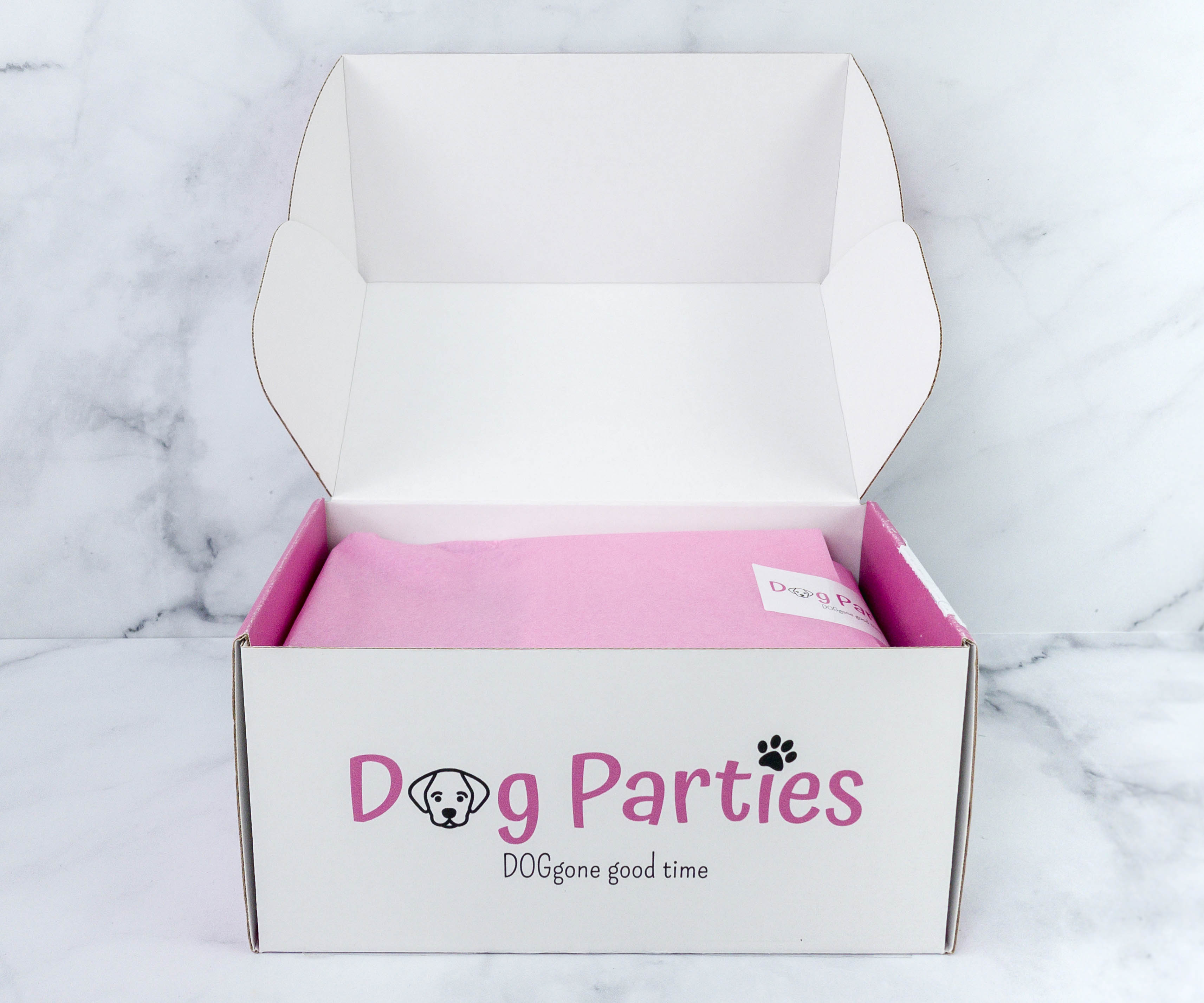 dog subscription box usa