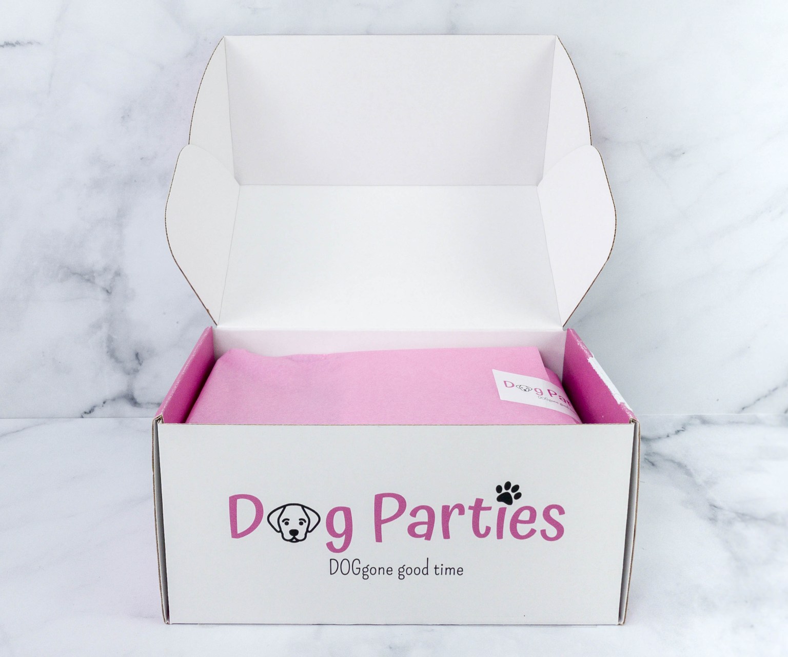 Dog Parties Subscription Box Review January 2021 Hello Subscription