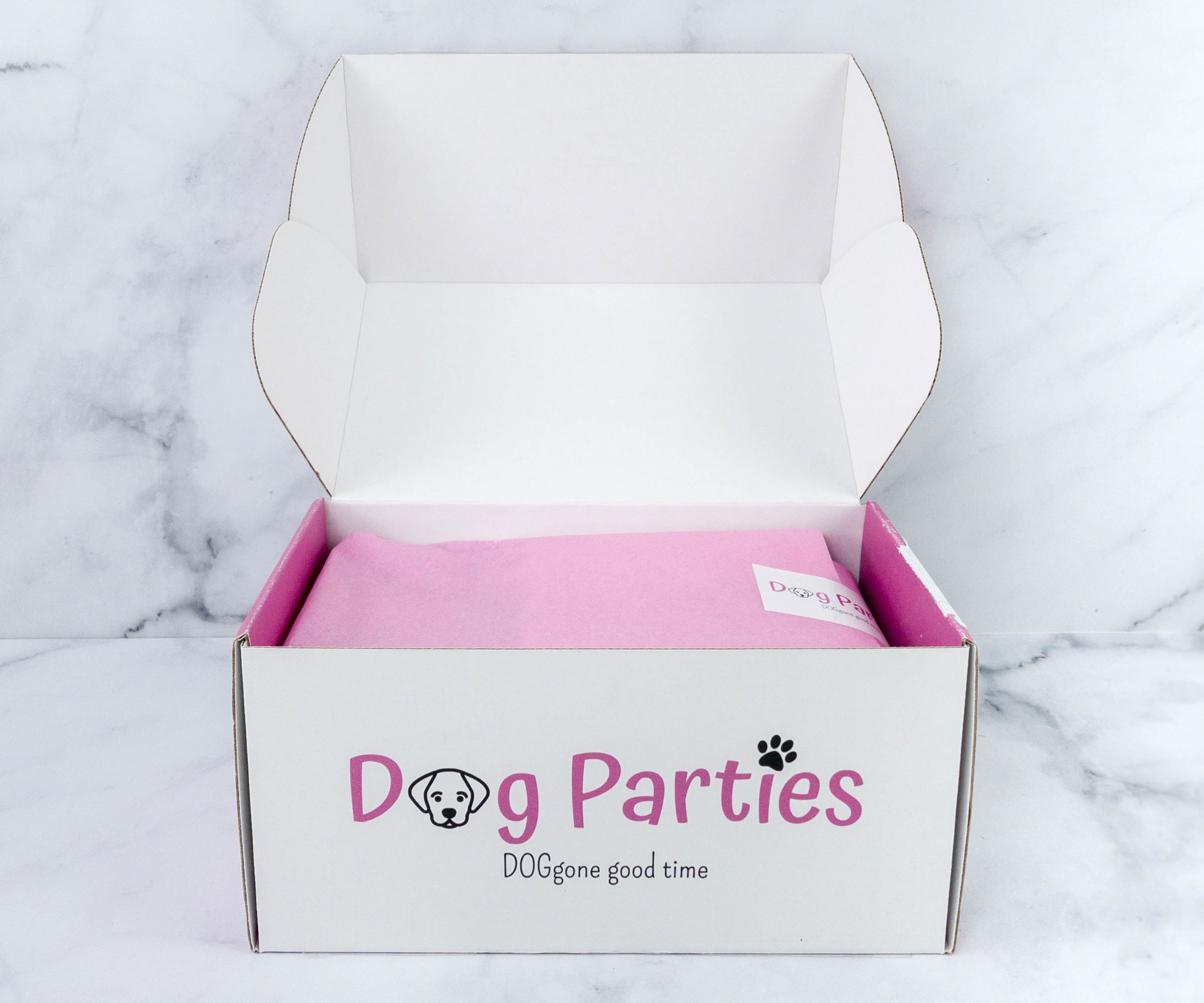 Dog Parties Subscription Box Review January 2021 Hello Subscription