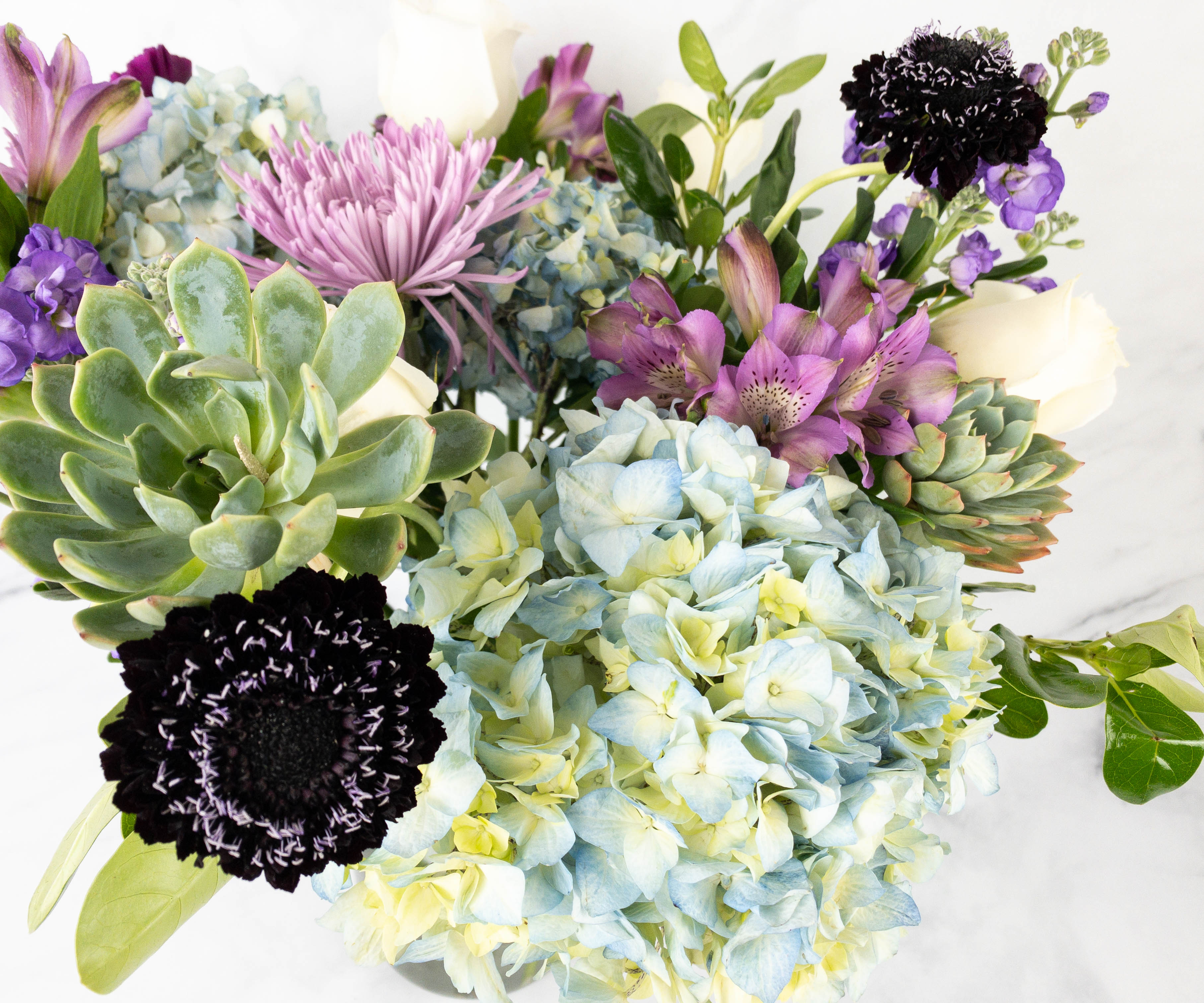 Enjoy Flowers Hallmark Flowers Review + Coupon Hello Subscription