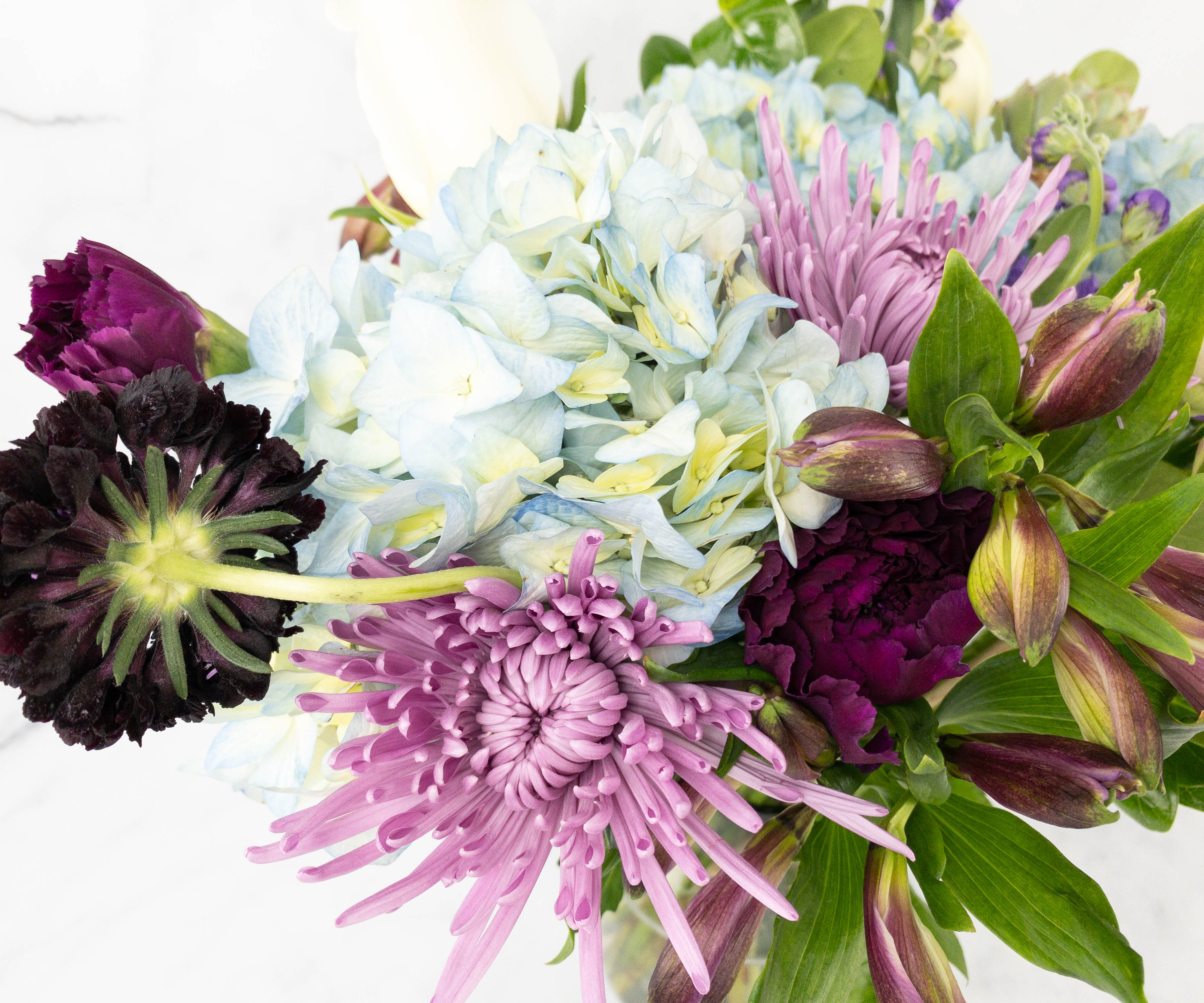 Enjoy Flowers Hallmark Flowers Review + Coupon Hello Subscription