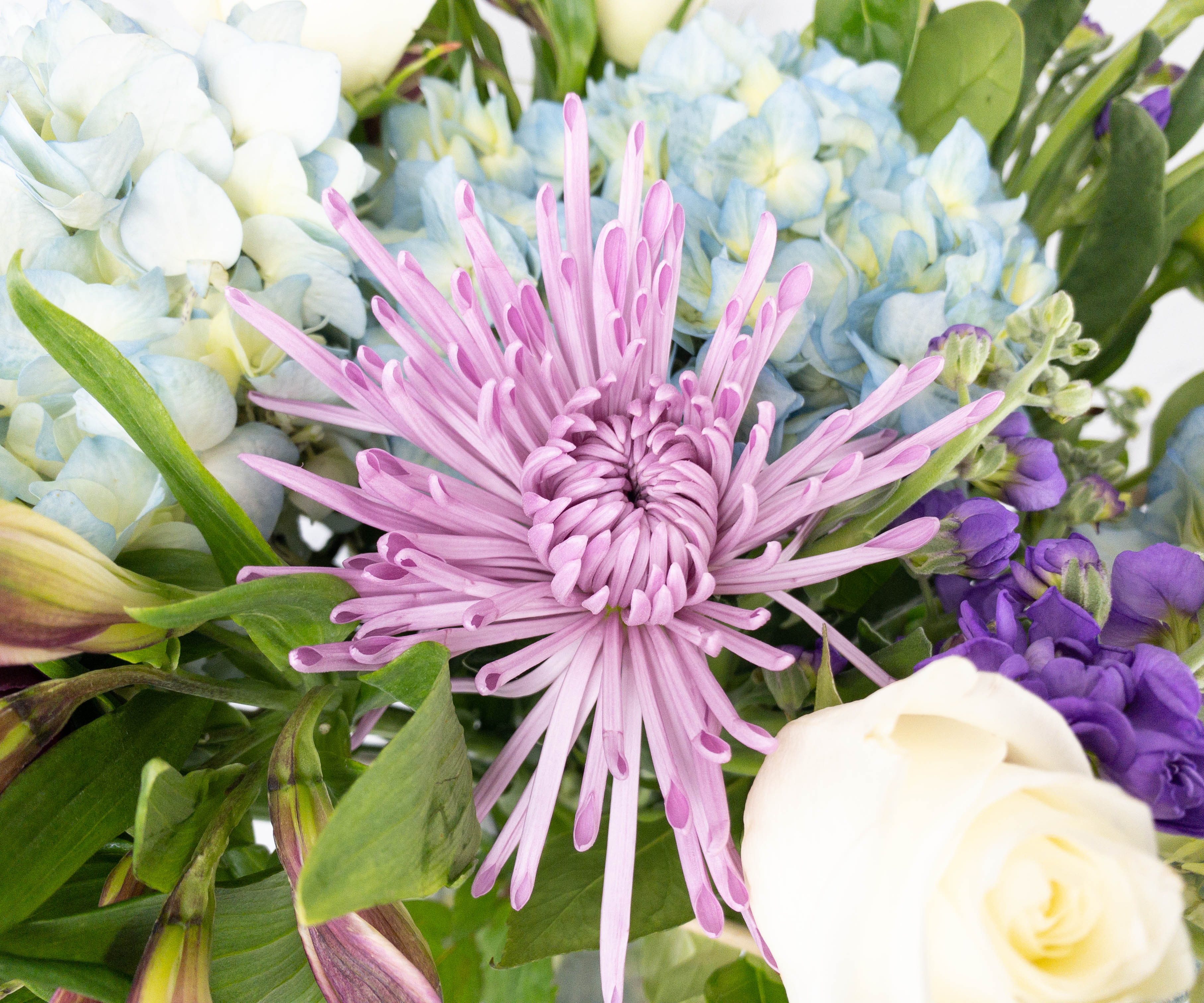 Enjoy Flowers Hallmark Flowers Review + Coupon Hello Subscription