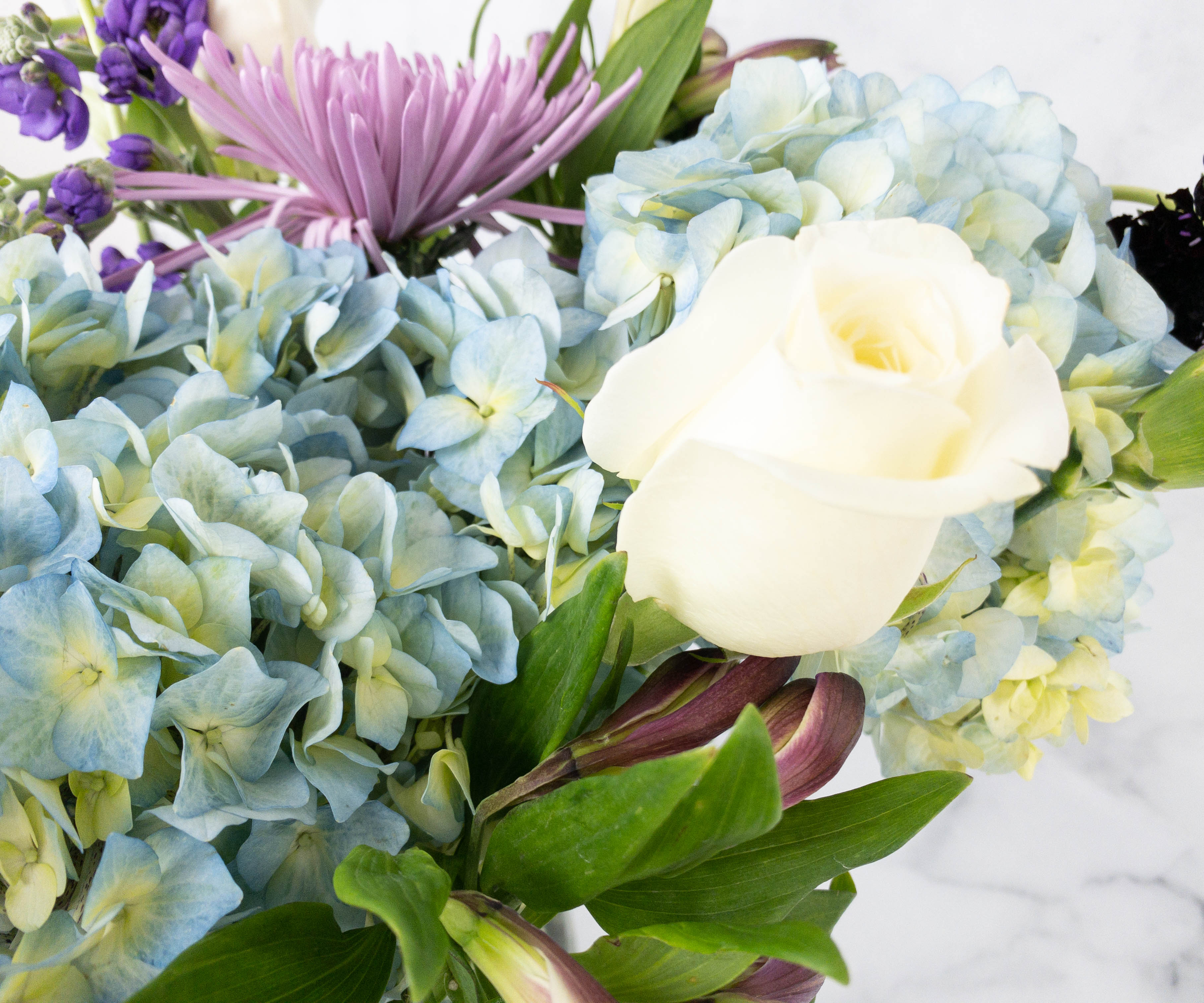 Enjoy Flowers Hallmark Flowers Review + Coupon Hello Subscription