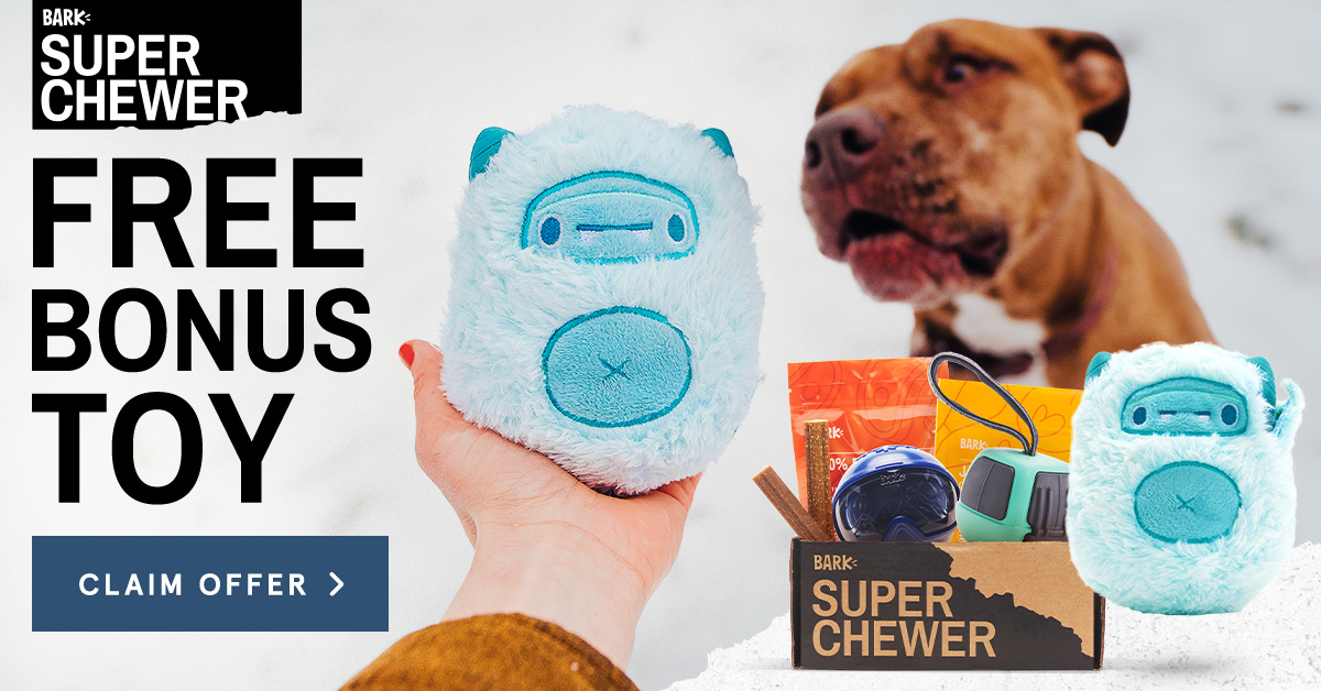 super chewer dog toys