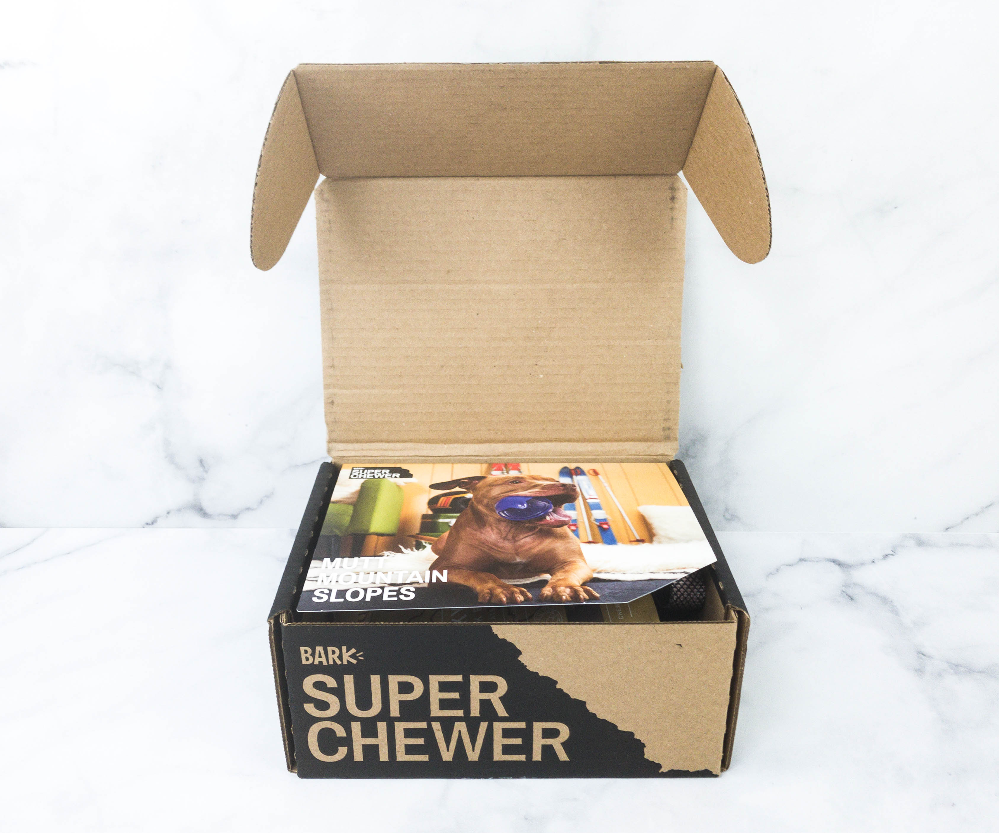 Dog subscription box outlet for chewers