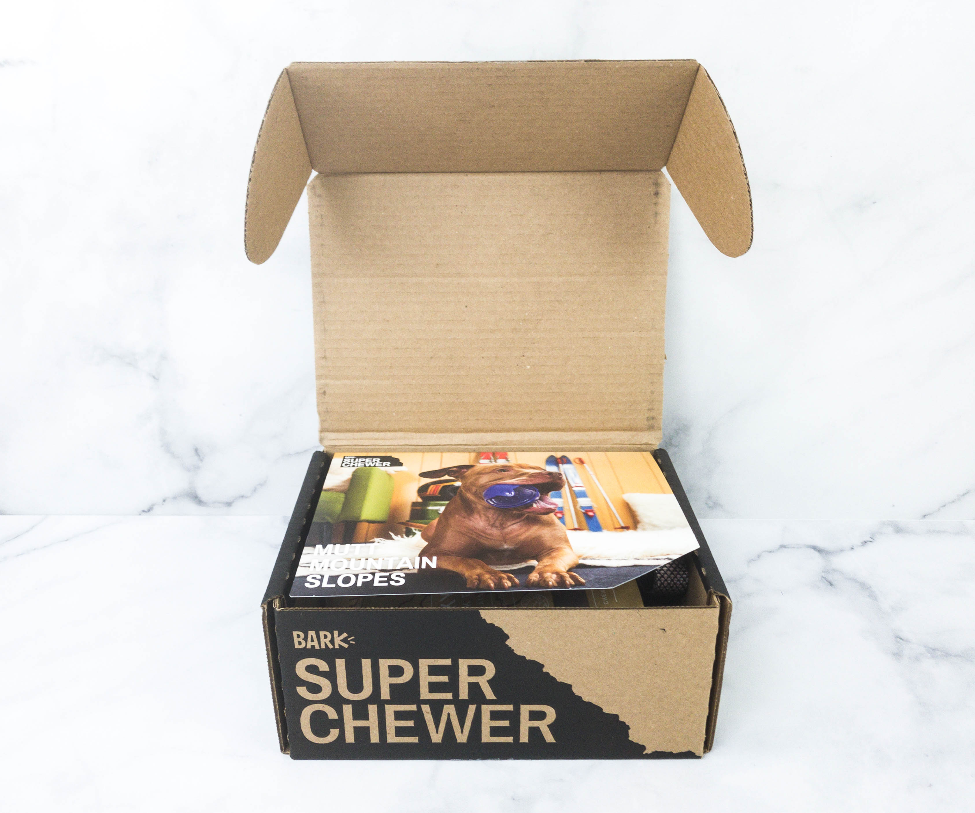 Super Chewer January 2021 Dog Subscription Box Review + Coupon! Hello