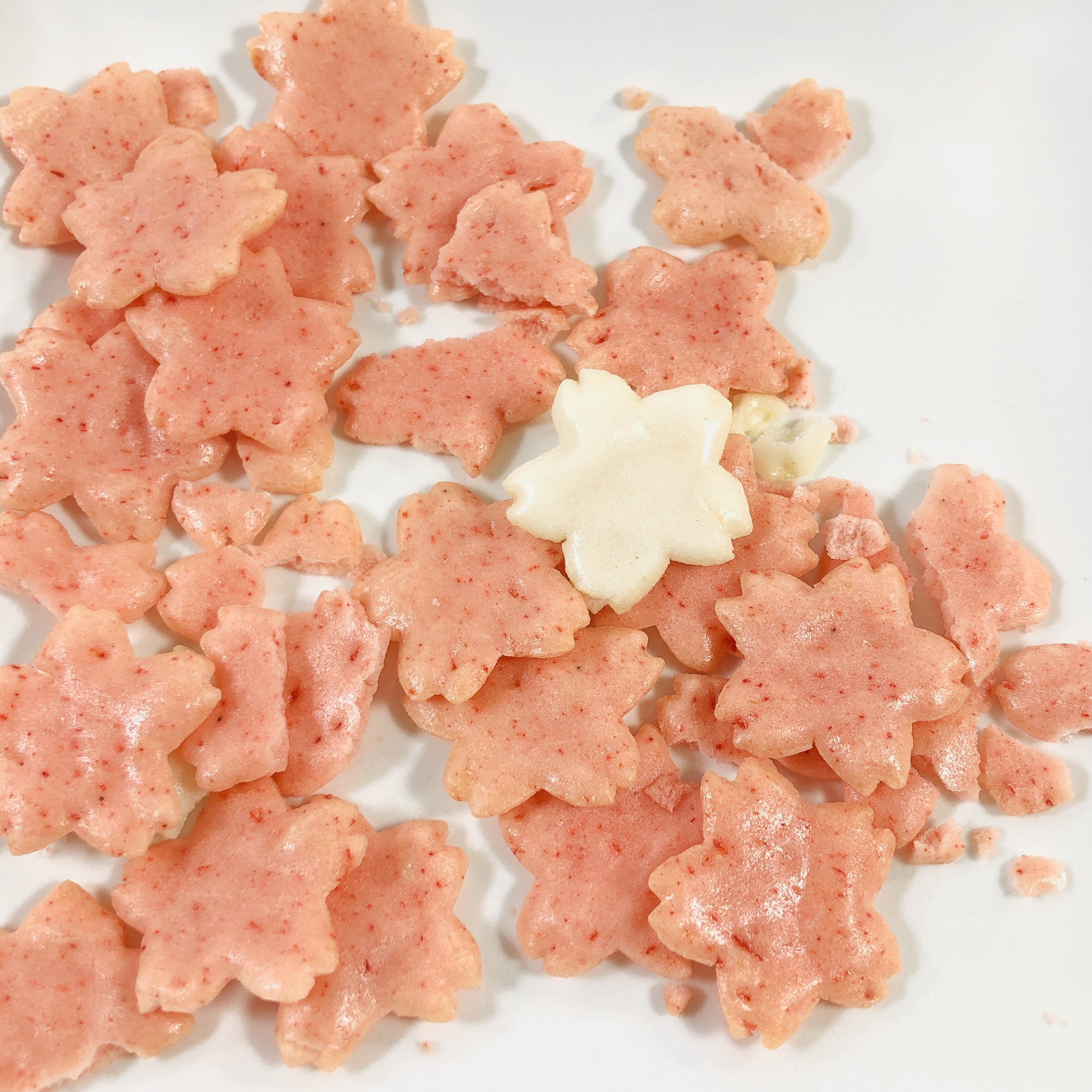 sakurako . ページ 大原櫻子全国ツアー2025「Trip To rakko Traveler」沖縄公演 開催決定