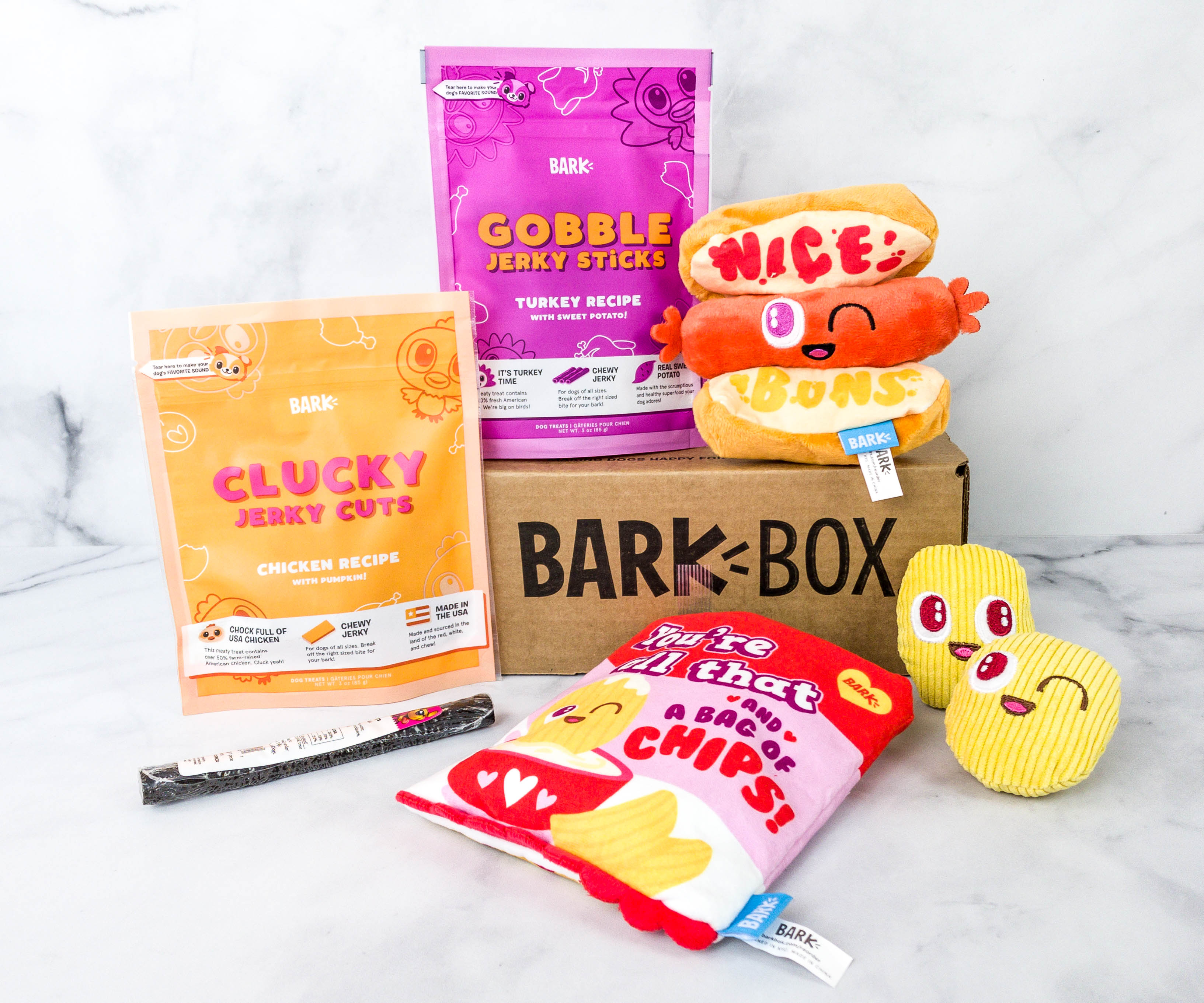 Barkbox Review + Coupon February 2021 hello subscription