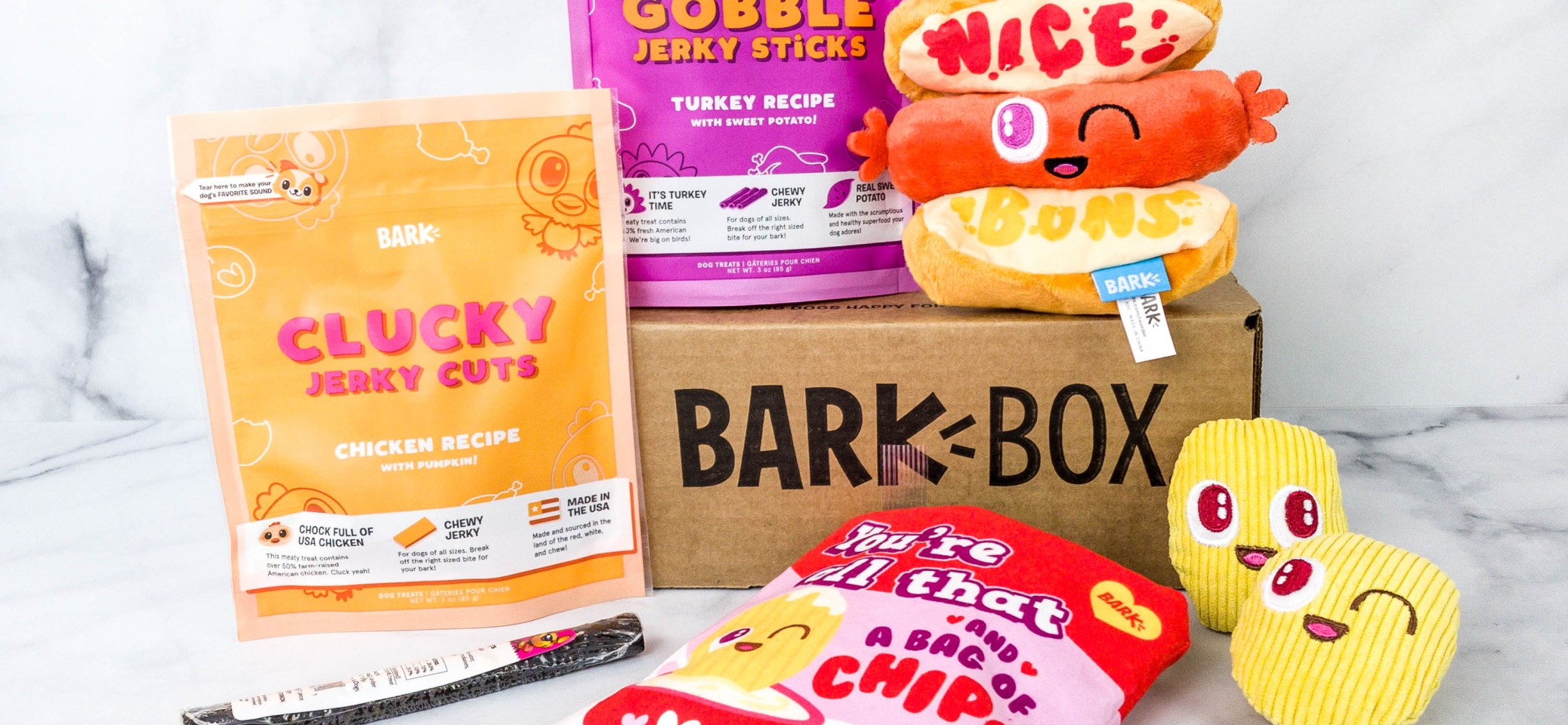 BarkBox Reviews Hello Subscription