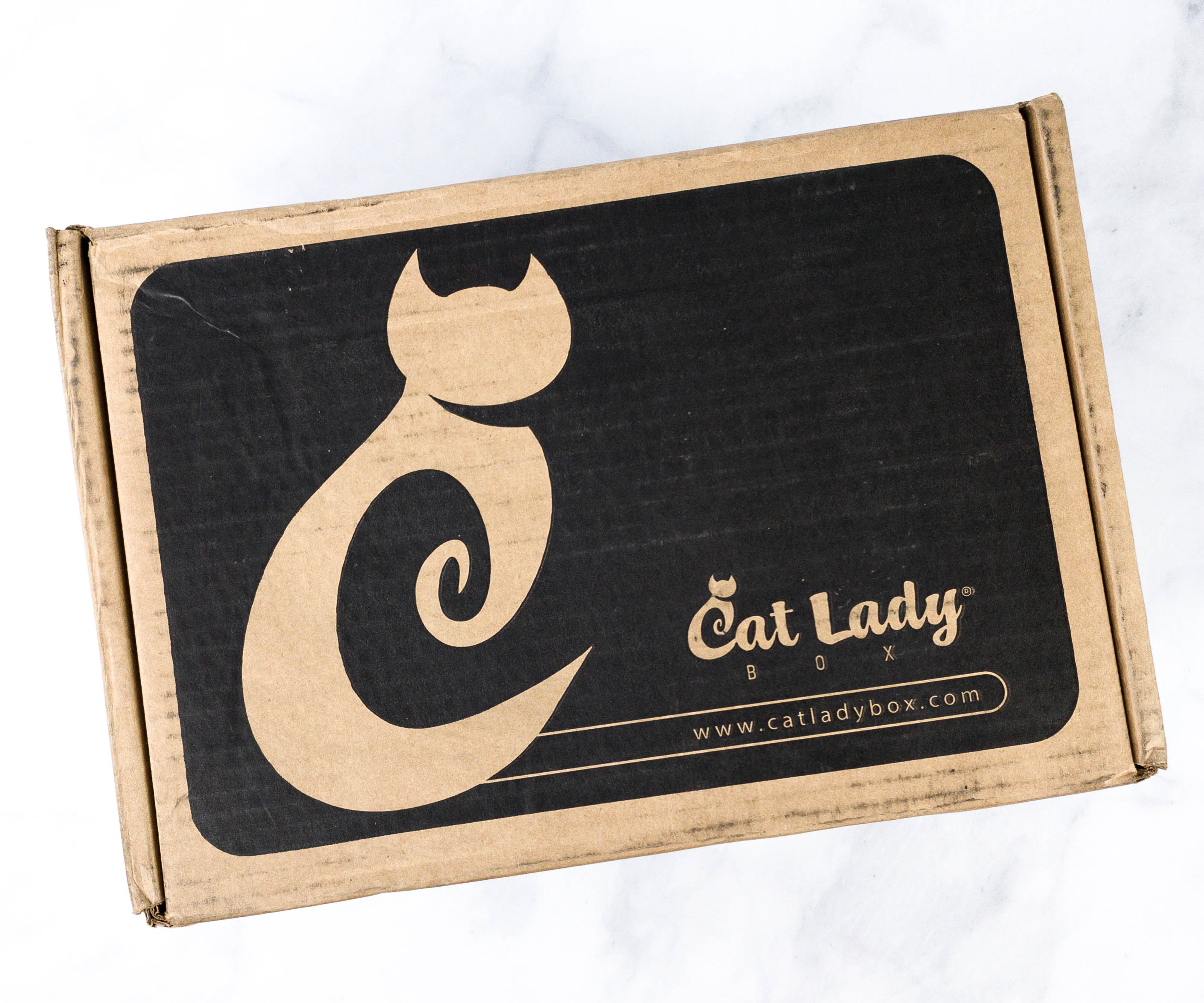 Cat lady hotsell subscription box