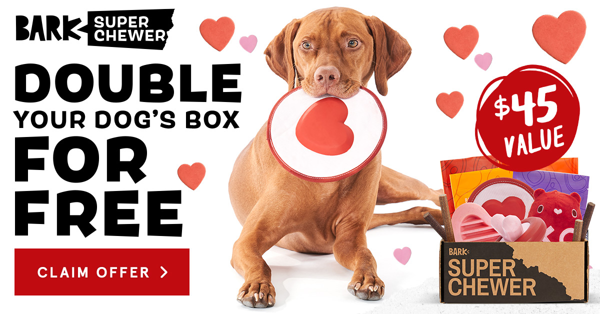 super chewer valentine box