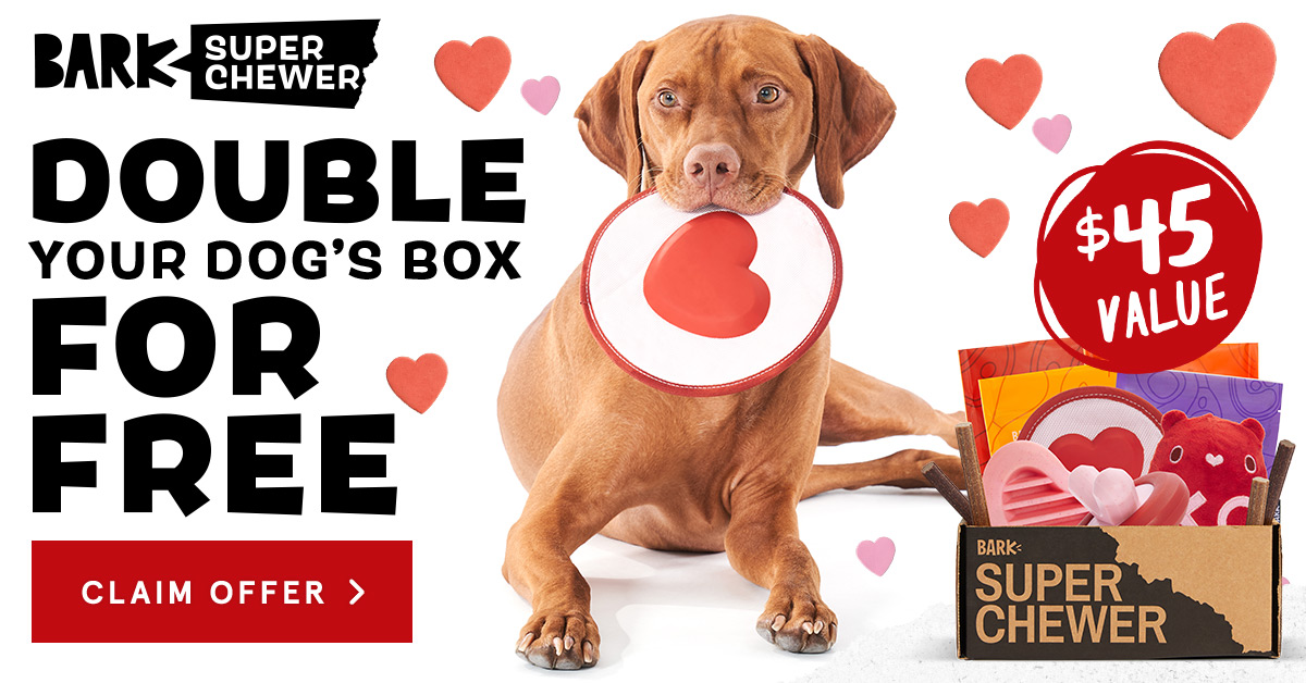 Valentines barkbox 2024