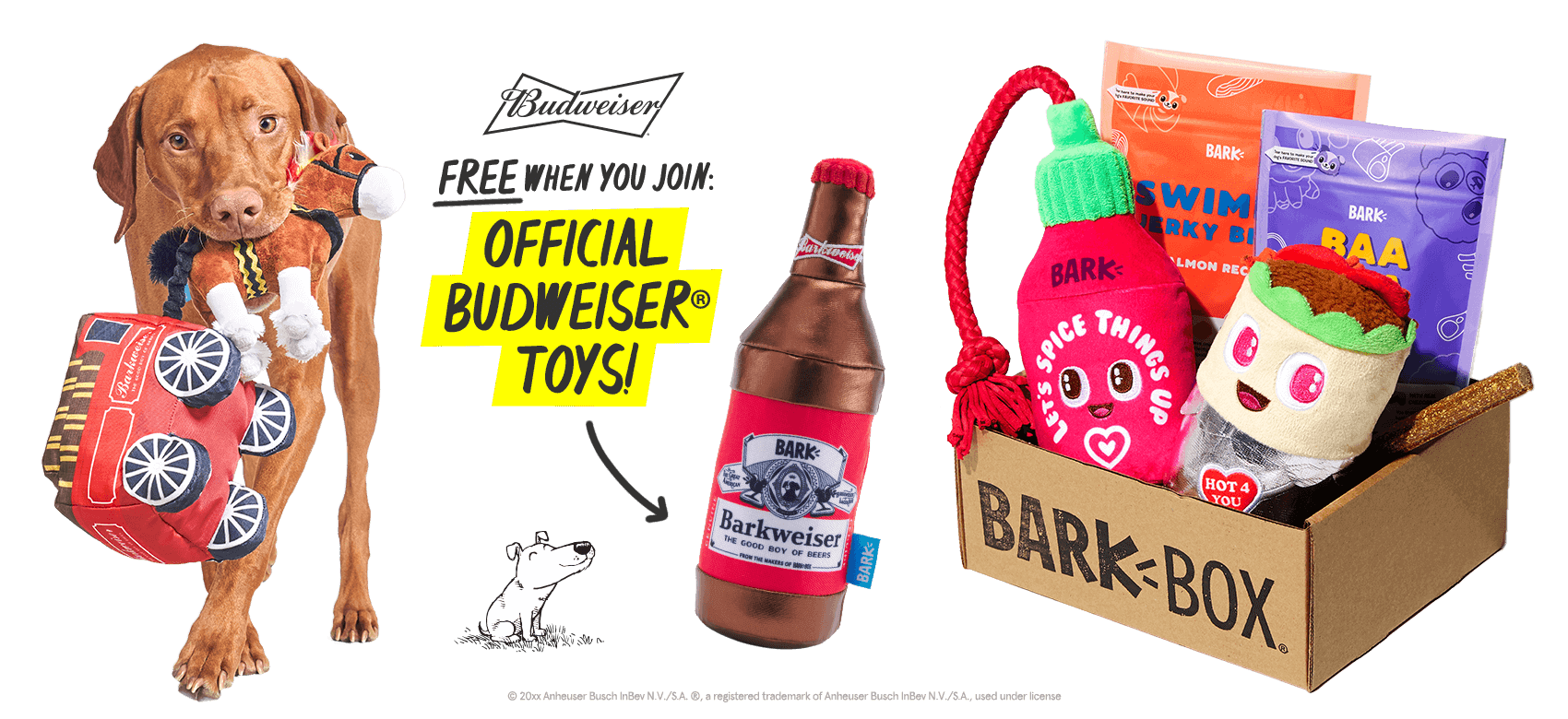 budweiser bark box